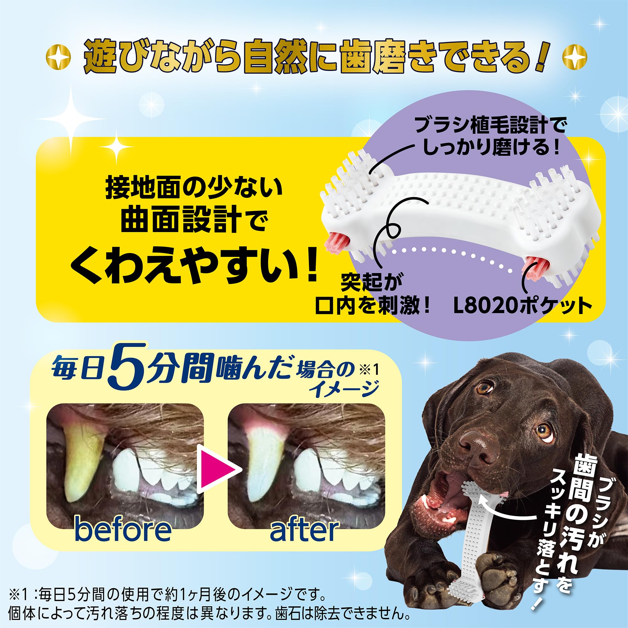 Amazon | マルカン ゴン太のデンタルトイ かむピカボーン Lサイズ 中型