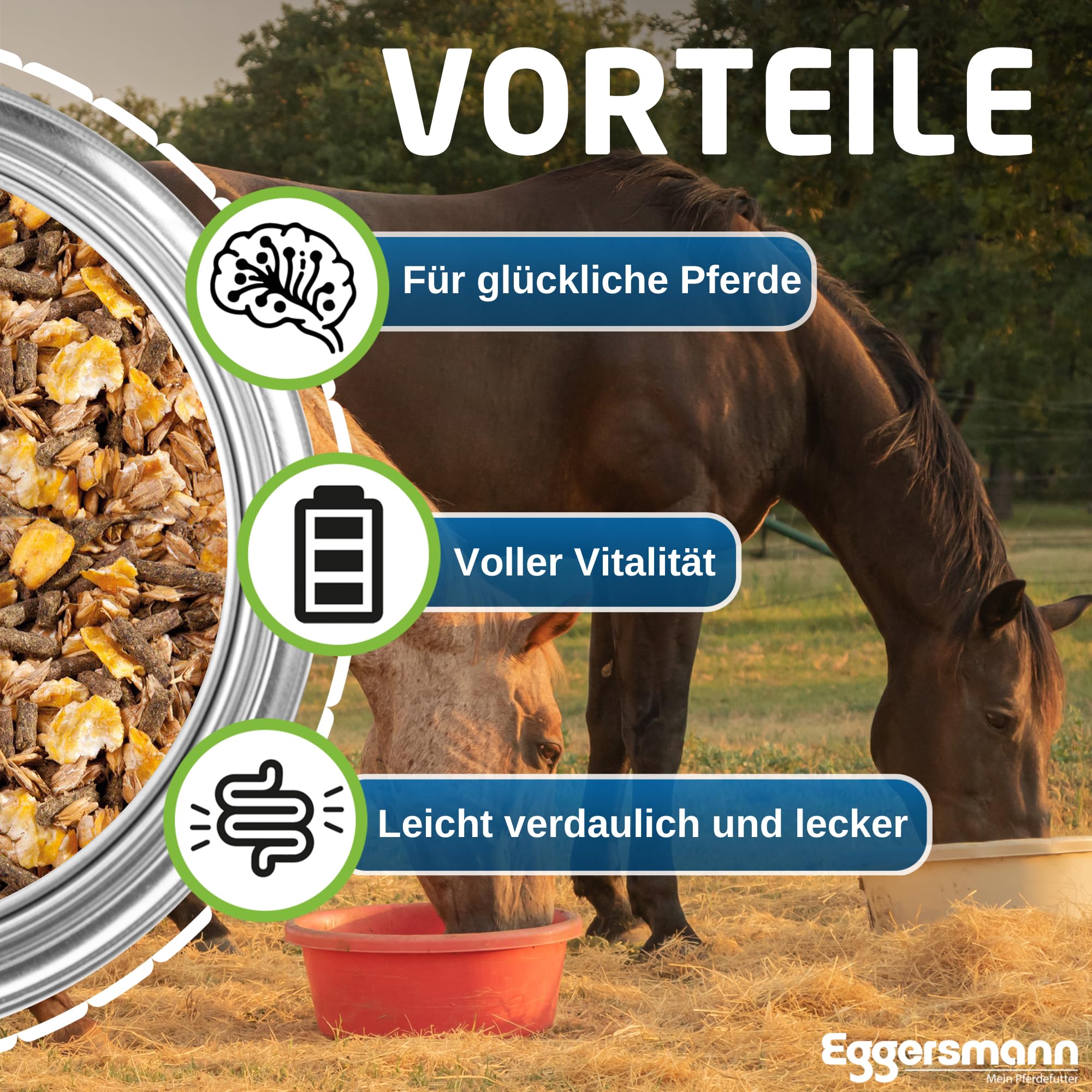 Eggersmann EMH Cool Müsli 20kg – Eiweißreduziertes Pferdemüsli Haferfrei – Zusatzfutter für Pferde und Ponys - Natürliches Pferdefutter