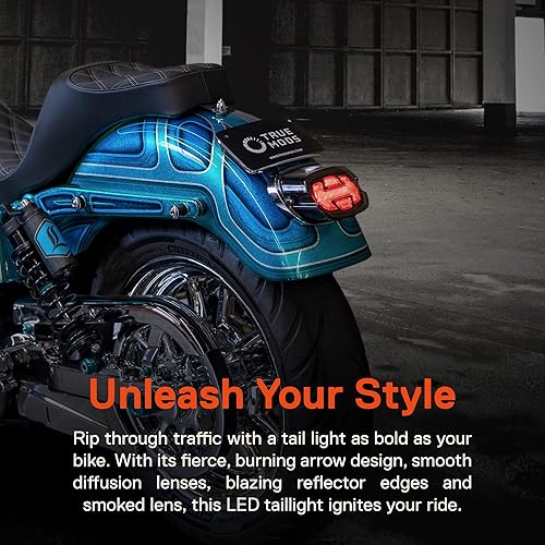 Miniatura 2 de TRUE MODS - Luz trasera LED de freno para Harley Davidson, diseño de flecha, licencia cuadrada, color rojo, ahumado, luz trasera para Sportster Dyna