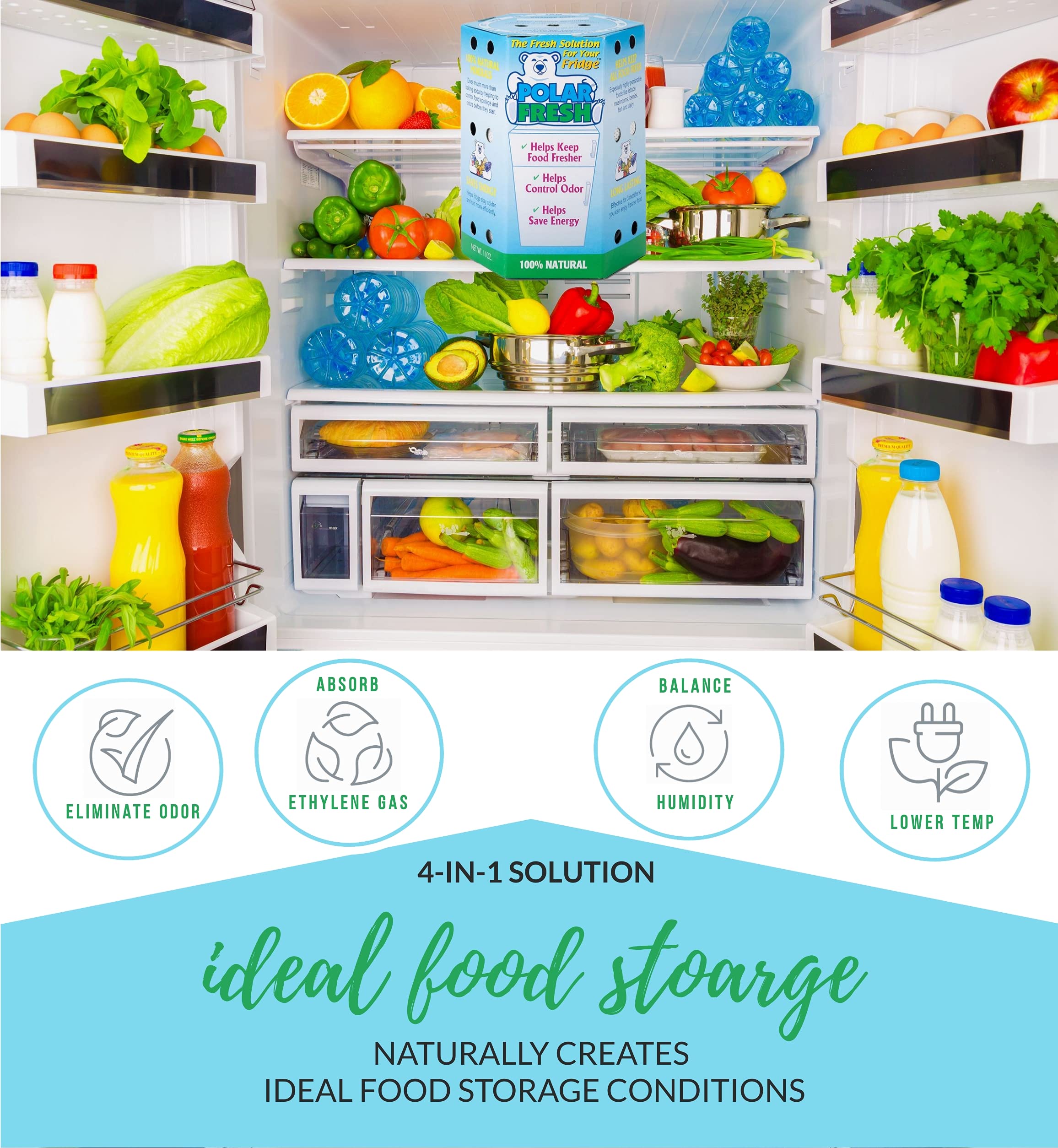 Buy Polar Fresh Refrigerator Odor and Moisture Absorber Deodorizer