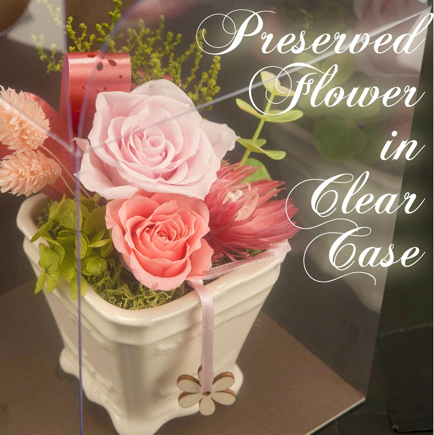 Studio, Mono Preserved tya-mi-