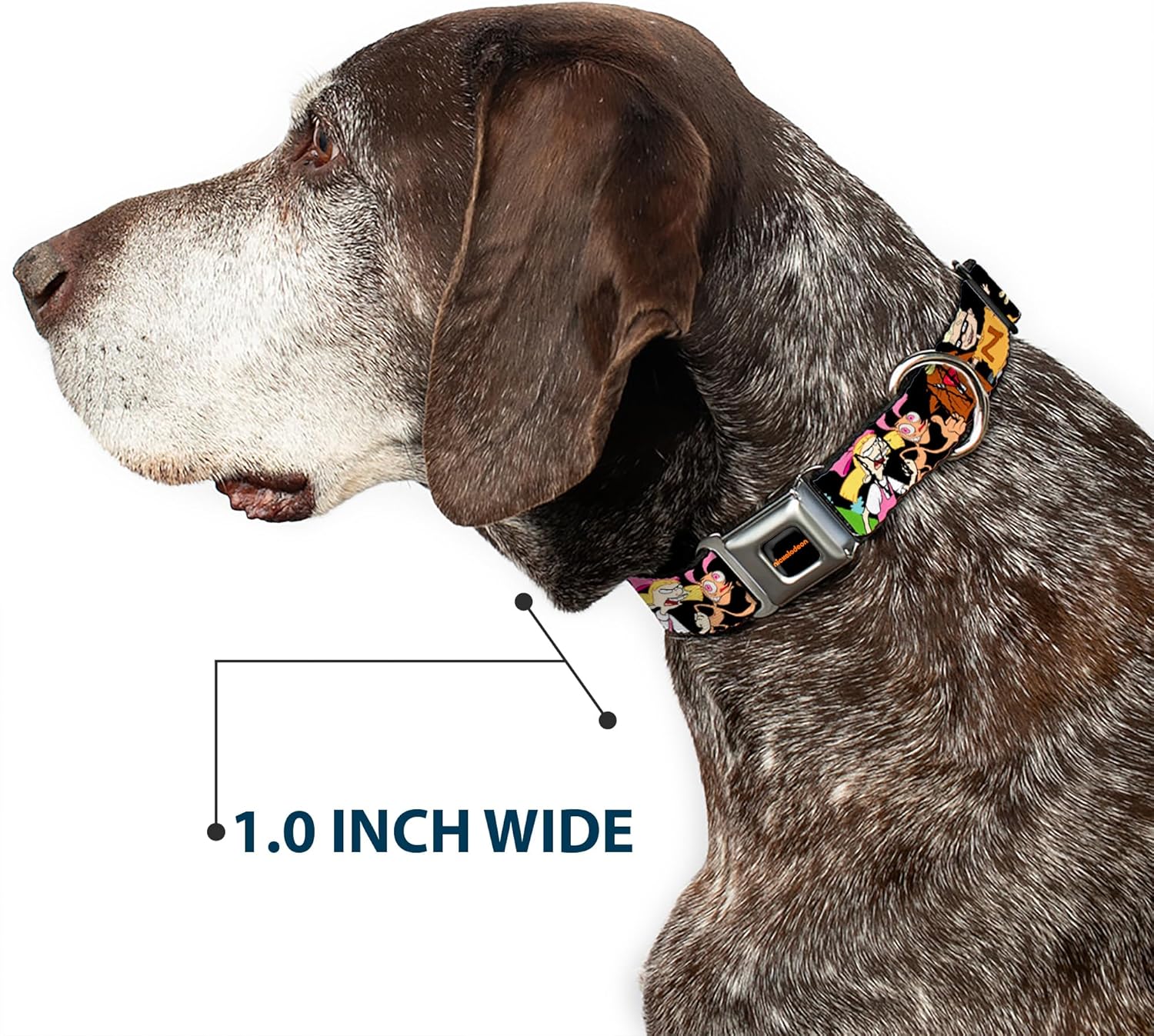 Nickelodeon Pet Collar, Dog Collar Metal Seatbelt Buckle, Nick 90s Character Poses Black, 11 to 16.5 Inches 1.0 Inch Wide
