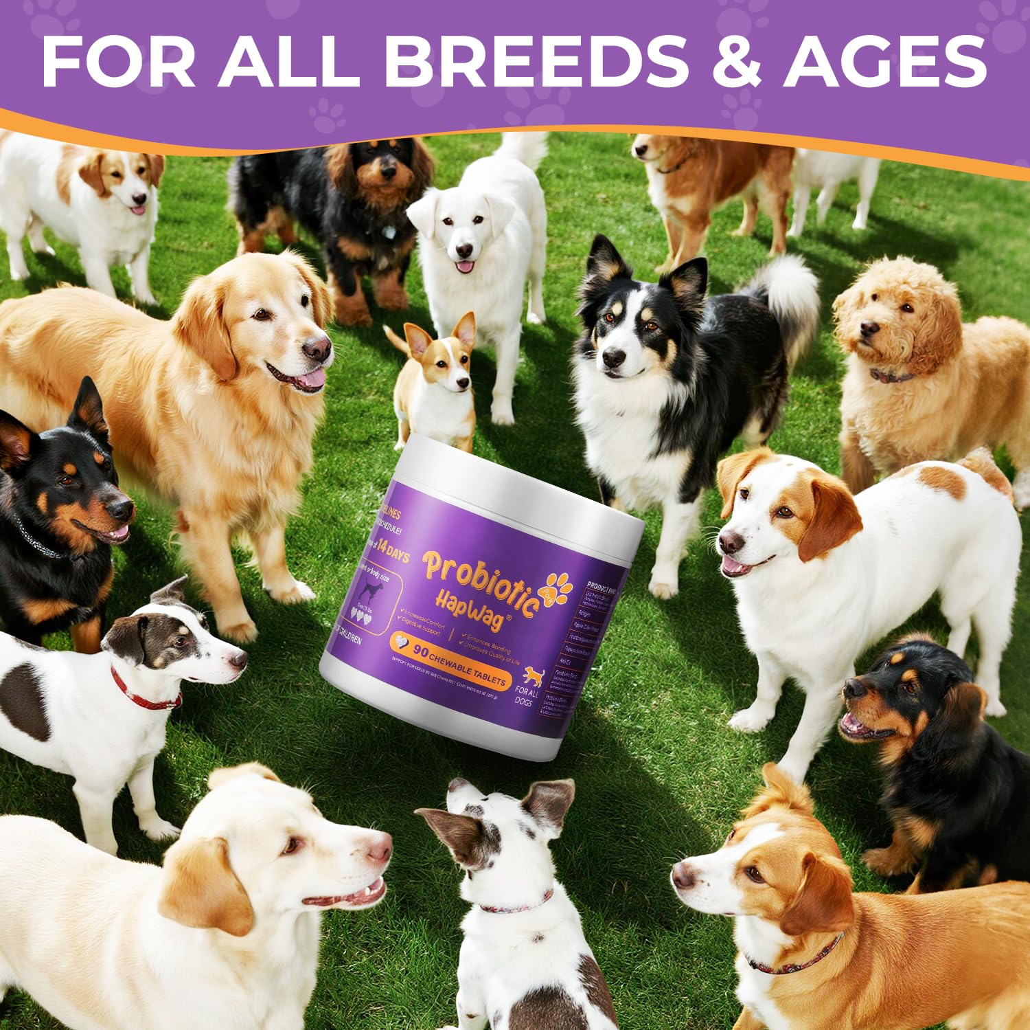 Probiotics for All Breeds and Ages Dogs, Support Gut Digestive Health, Anti Diarrhea, Constipation Relief, No More Allergies, Dog Supplements - Pork Flavor - 90 Soft Chews - image 7