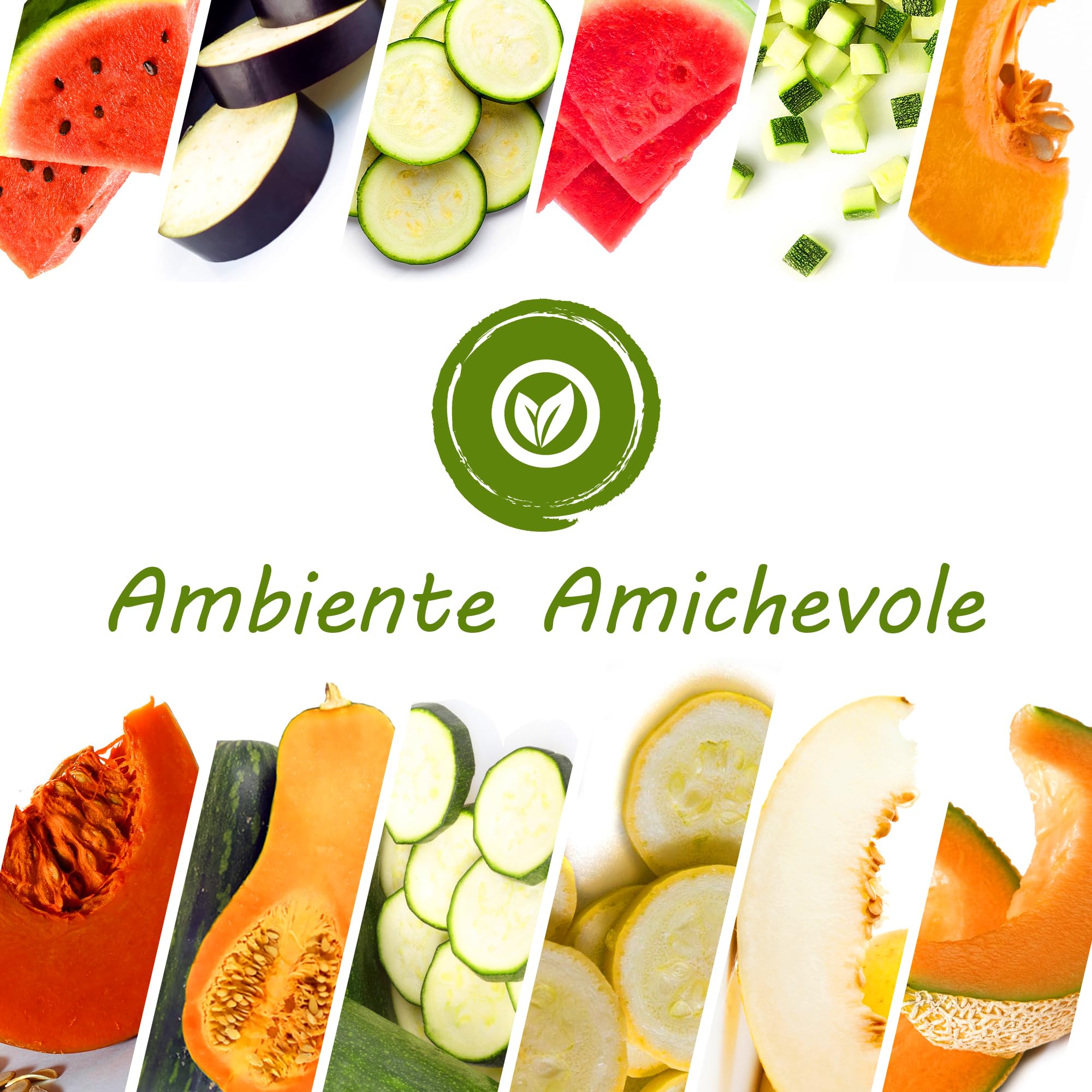 TORAF Set di semi di ortaggi biologici,5x 11pack per cucina, balcone e giardino, barbabietola, zucchina, fagioli, cipolla, carota, cetriolo, paprika, prezzemolo, aneto, prezzemolo, aneto
