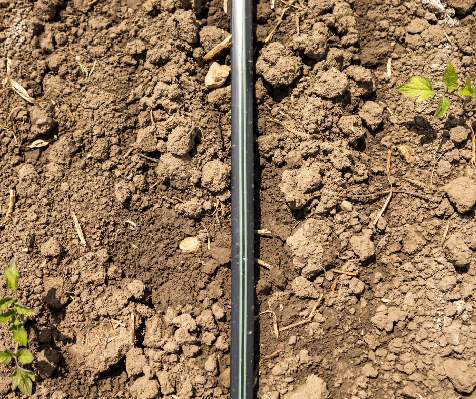 Manichetta Gocciolante Pluvio d. 16-8 mil 250 metri | 2 litri Orto, Giardino, Kit Irrigazione (500 m passo 30 cm)