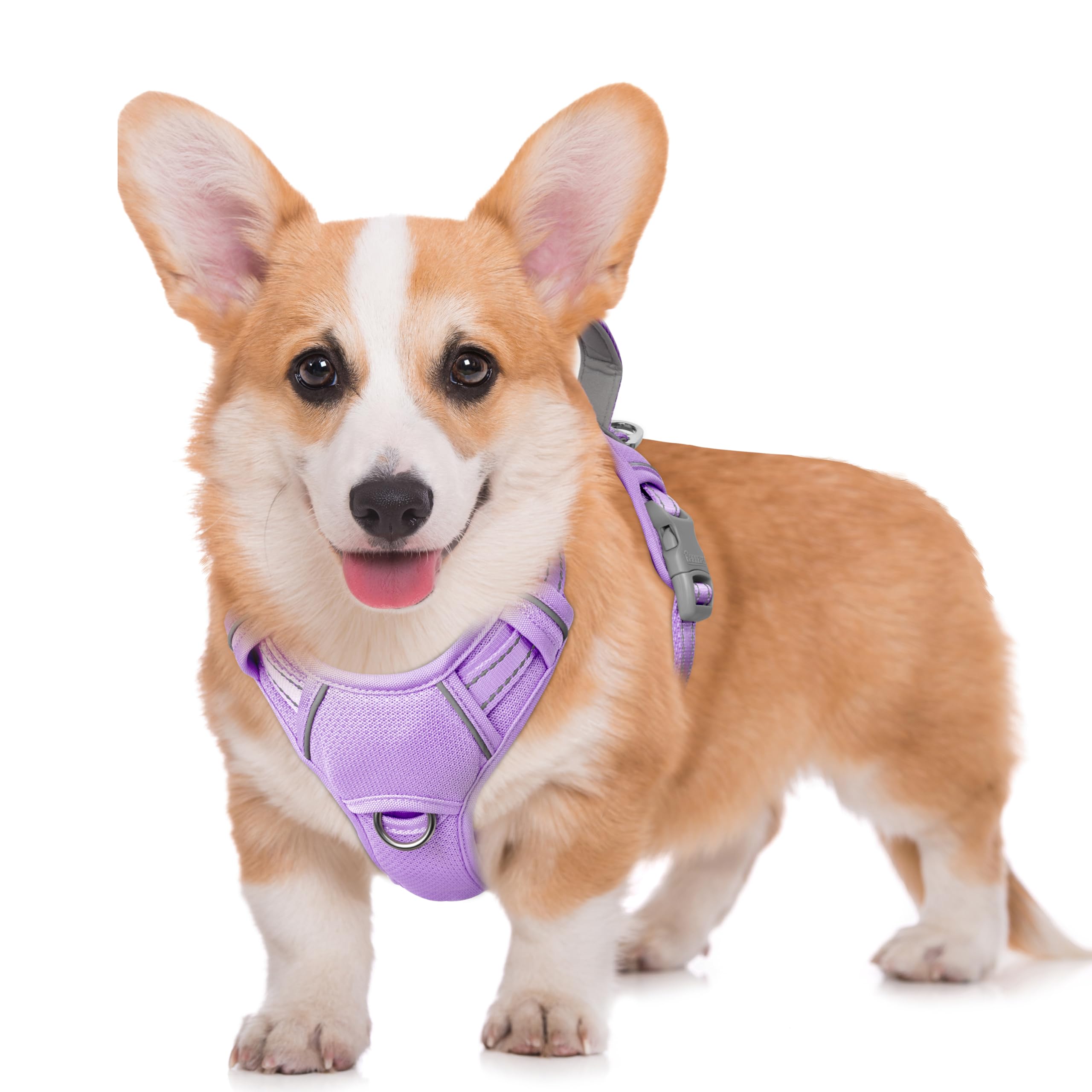 BARKBAY No Pull Dog Harness Large Reflective Dog Harness with Front Clip and Easy Control Handle for Walking Training Running with ID tag Pocket(Violet Purple,M)