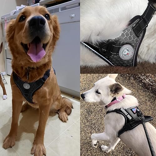 Miniatura 3 de Cymiler Chaleco de servicio para perro, arnés y correa para perro, arnés ajustable Oxford reflectante con asa para entrenamiento al aire libre,