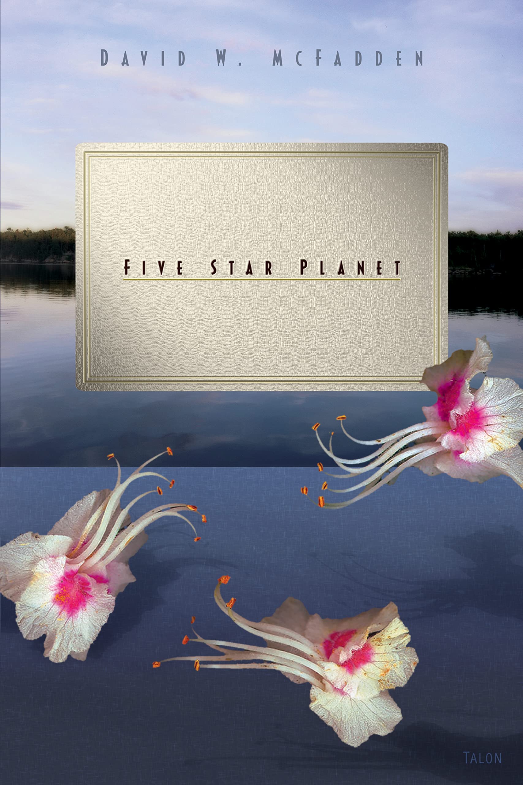 Five Star Planet (Terrafina Trilogy, 3)