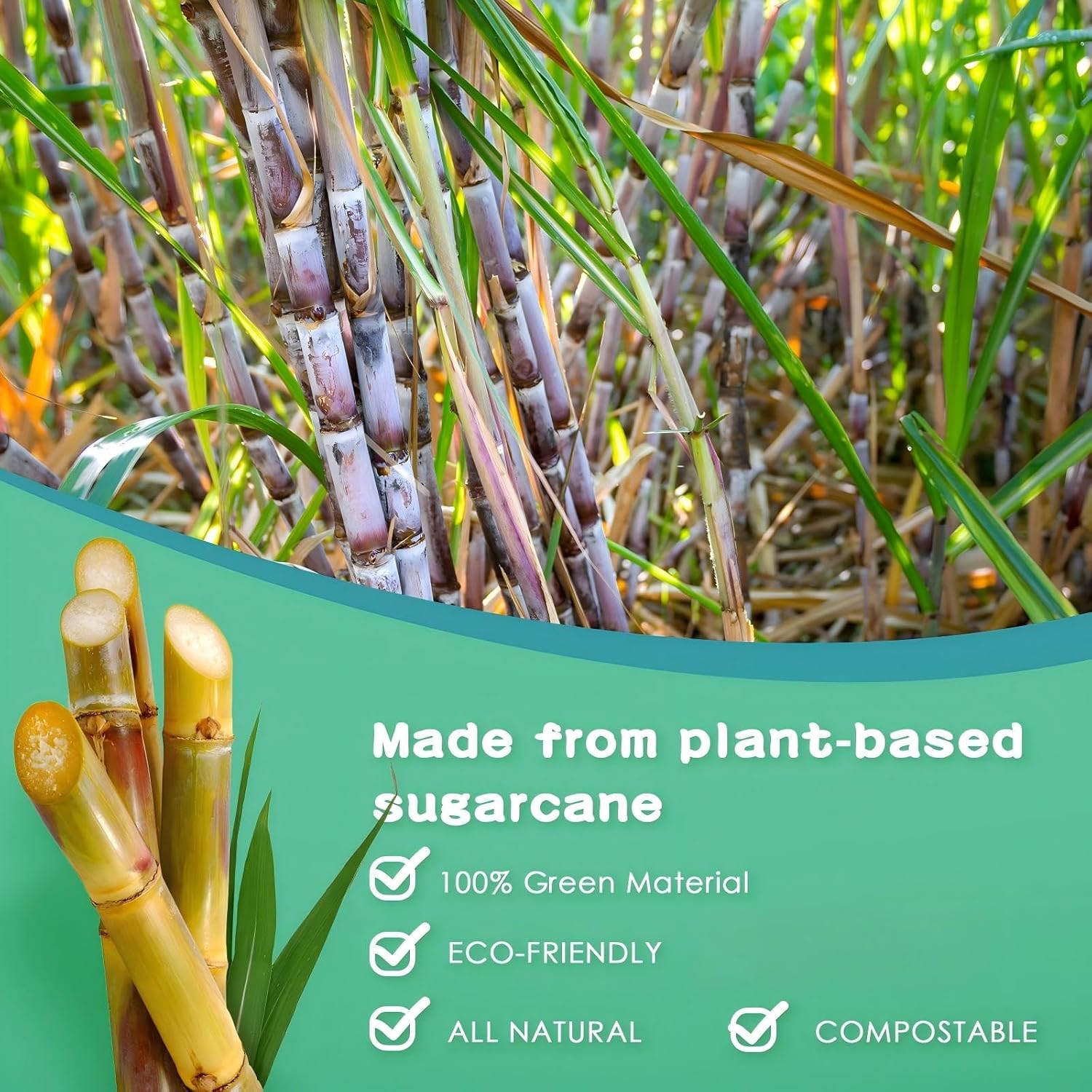 Mimorou 500 Pack Small White Paper Plates 6 Inch Disposable Round Heavy Duty Dessert Sugarcane Pulp Plates for Cake Appetizer Holiday Birthday Baby Shower Wedding Party Supplies