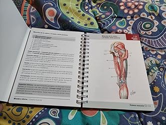 Netter. Flashcards de anatomía. Miembros (6ª ed.) : J. T. Hansen ...