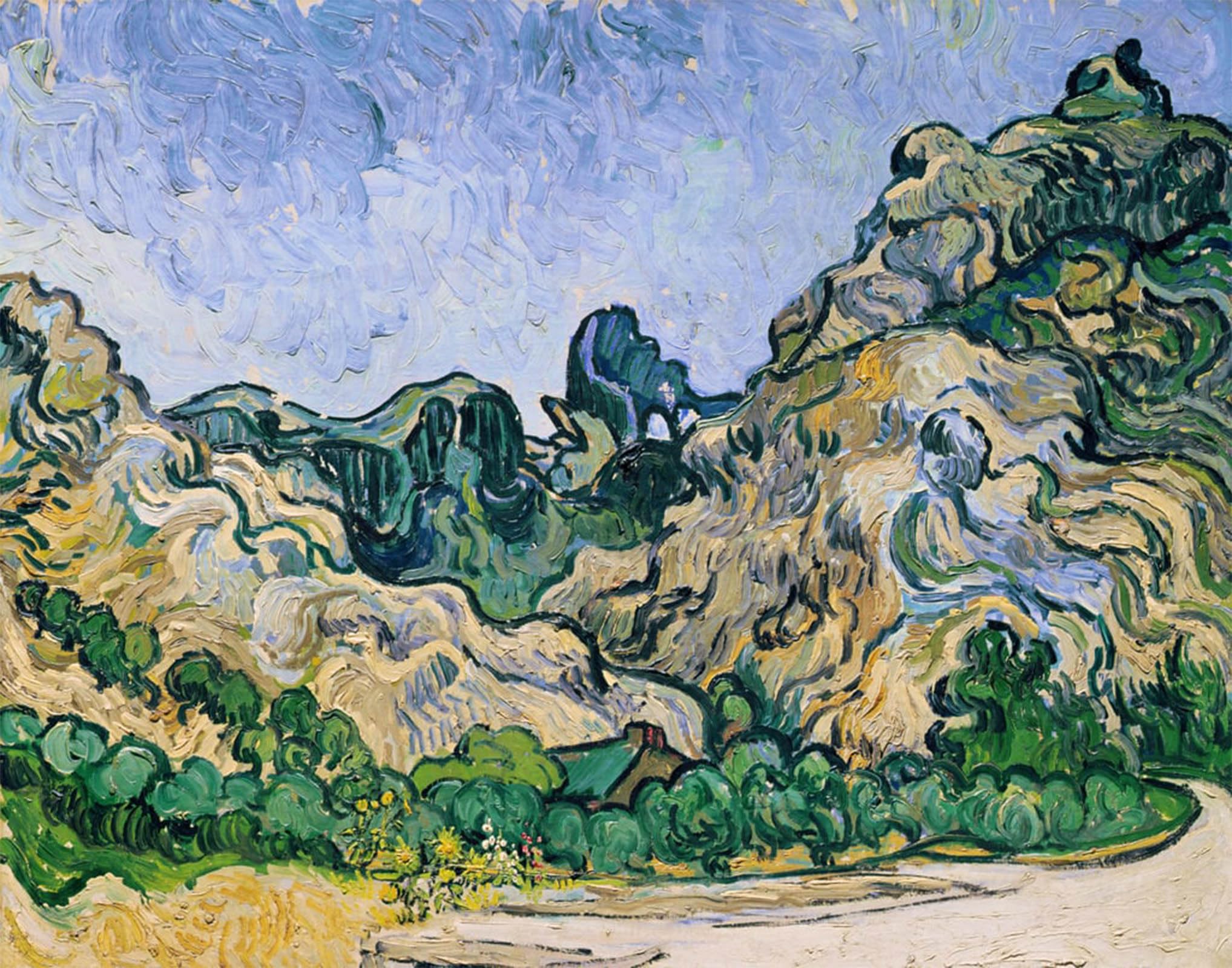 ARTXLXXBN Famous Painting Canvas Artwork Graffiti Print the Alpilles Portrait Canvas Image for Home Decor 60x90cm