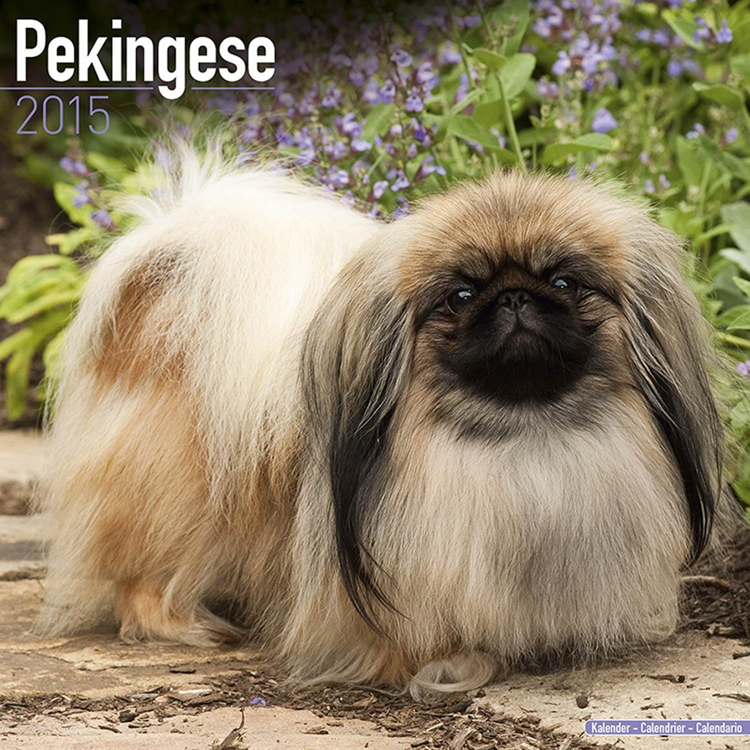 Pekingese Calendar - Only Dog Breed Pekingese Calendar - 2015 Wall calendars - Dog Calendars - Monthly Wall Calendar by Avonside