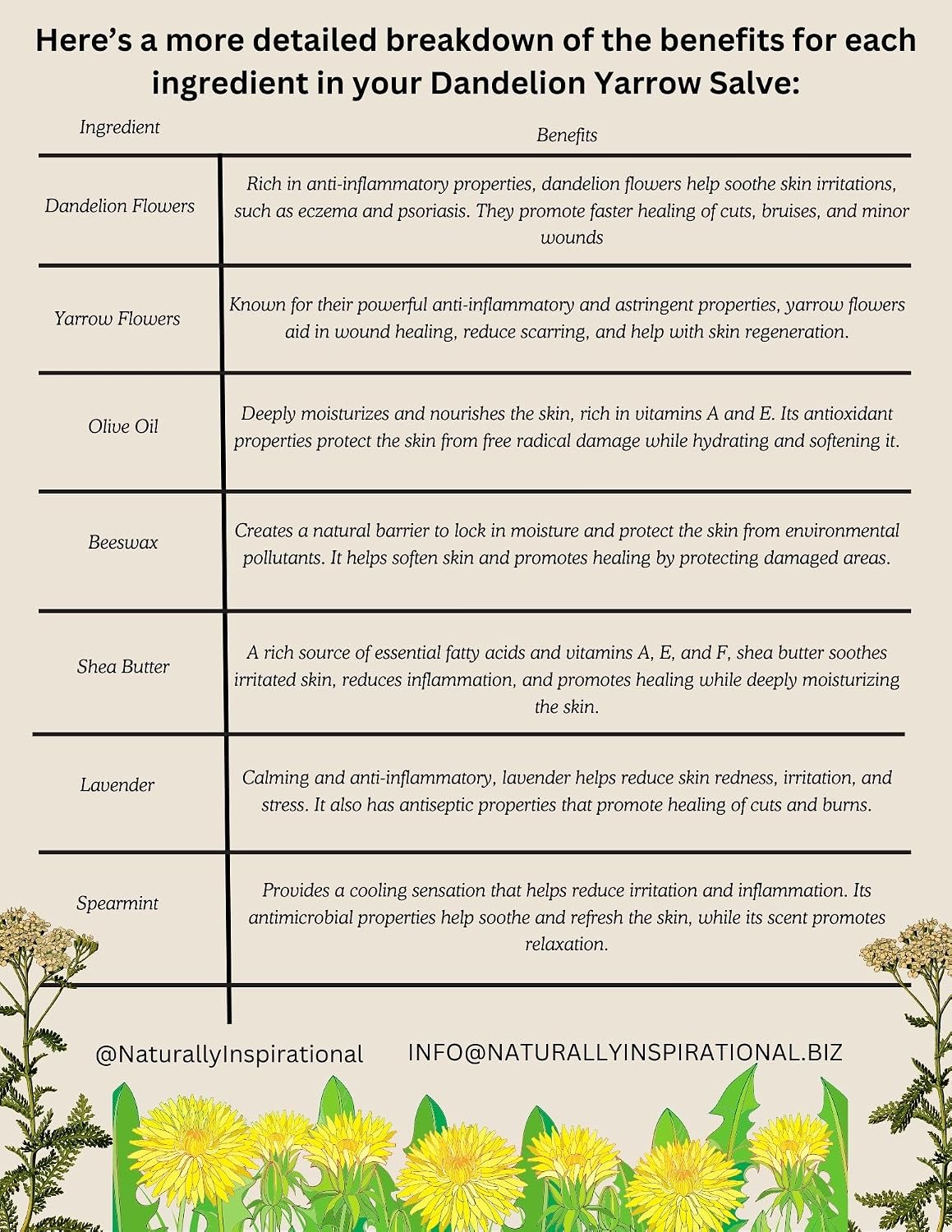 Dandelion Yarrow Salve – Handcrafted by Naturally Inspirational (4oz Jar)