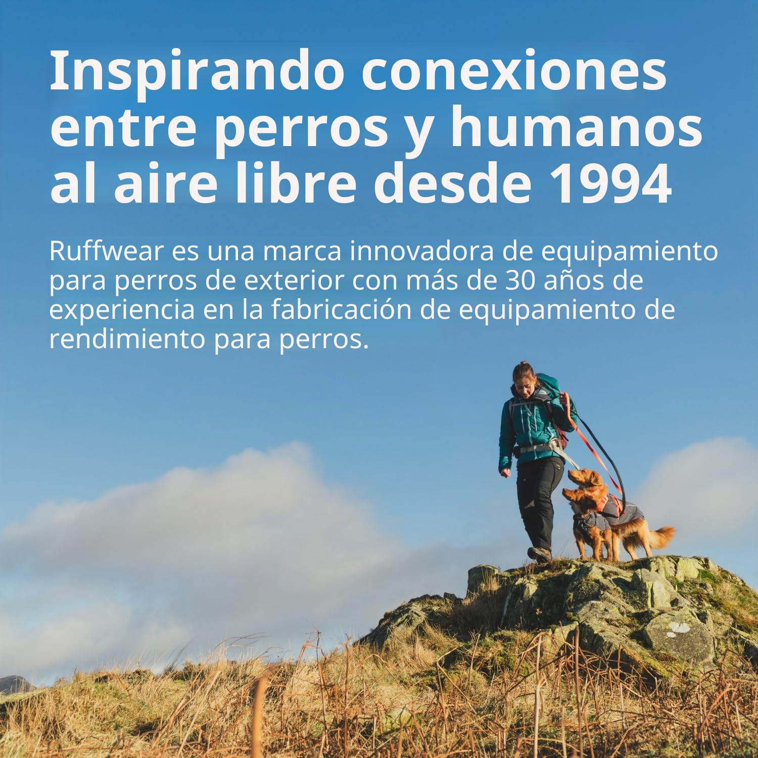 RUFFWEAR Correa para Perros de Longitud Ajustable con 2 Clips de Bloqueo, Switchbak, para Llevar en la Cintura, el Hombro o de la Mano, acoplador, con Doble Clip, Blue Pool