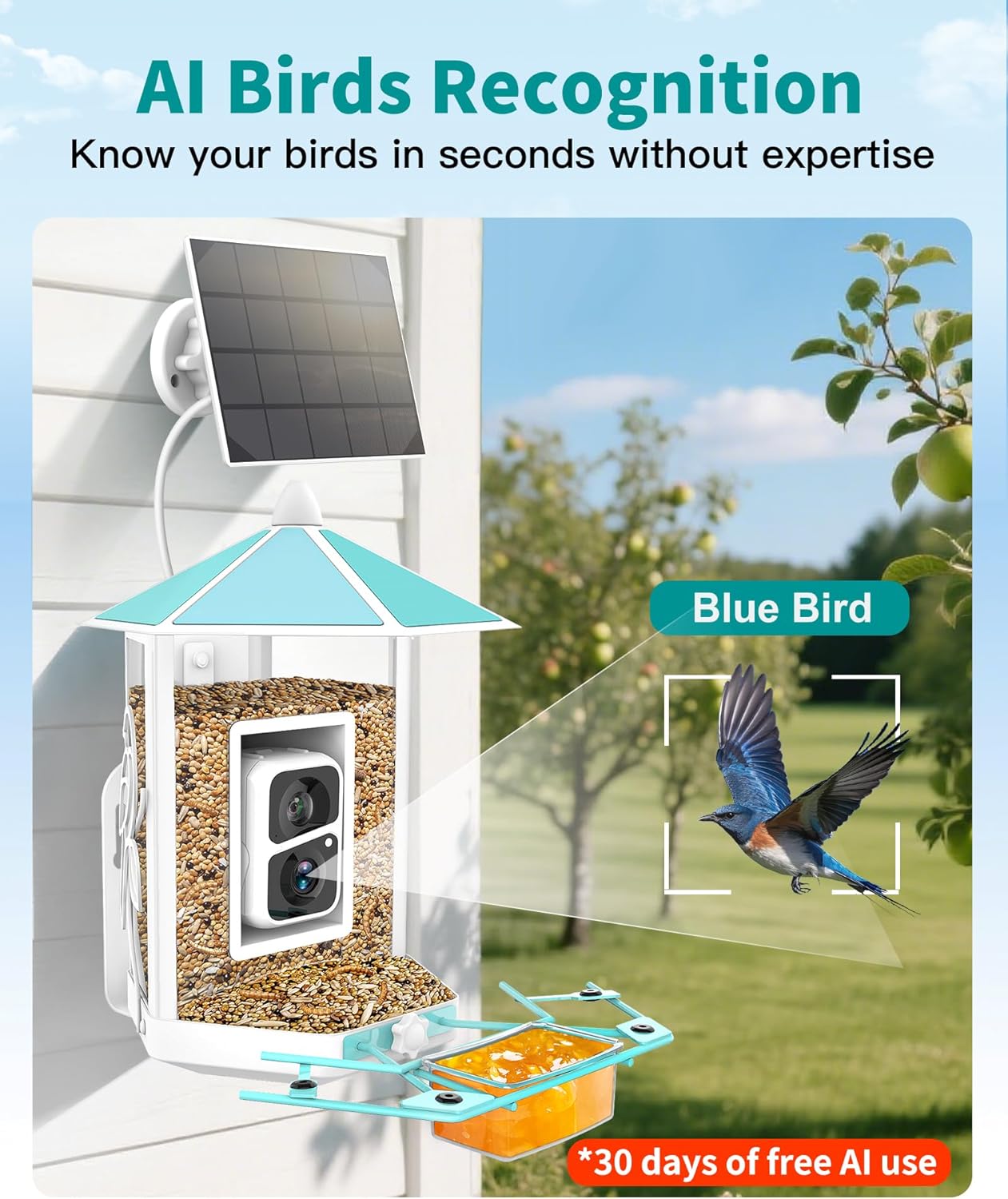 Bird Feeder with Camera - All-Metal Chewproof Smart Camera Bird Feeder Solar Powered, 2K Live Stream for Outdoor，AI Identify Auto Capture Videos, Weatherproof Heavy Duty, Gifts for Mom Dad - Image 5