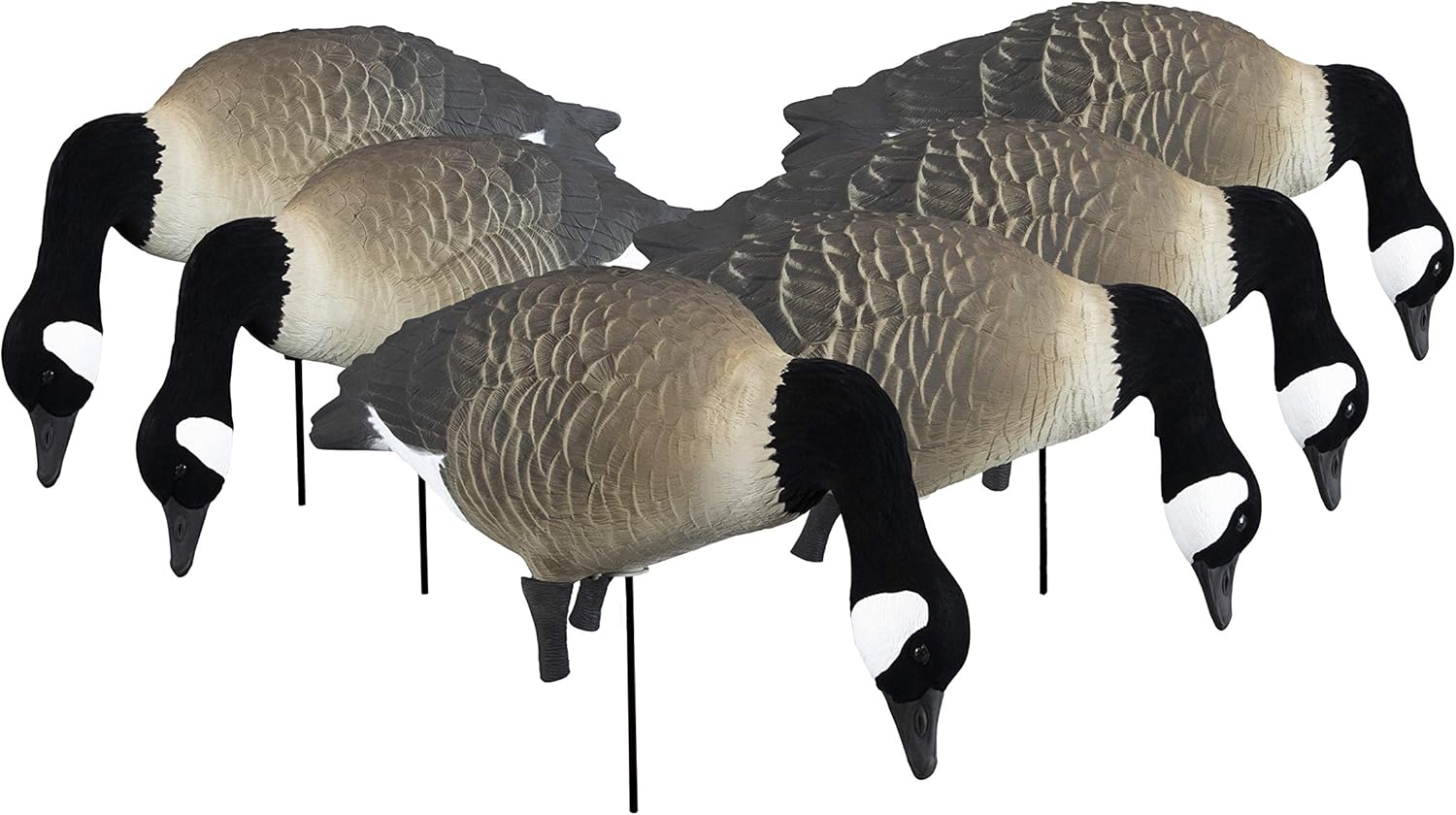 Higdon Outdoors APEX Full-Size Full-Body TruFeeder Pack | Canada Goose Decoys | Realistic UV Paint | Lightweight & Durable Design | Natural Wind Motion | Ducks Unlimited | 6pk
