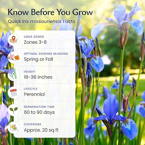 Miniatura 5 de Created By Nature Wild Iris Seeds, 400 semillas de flores perennes moradas