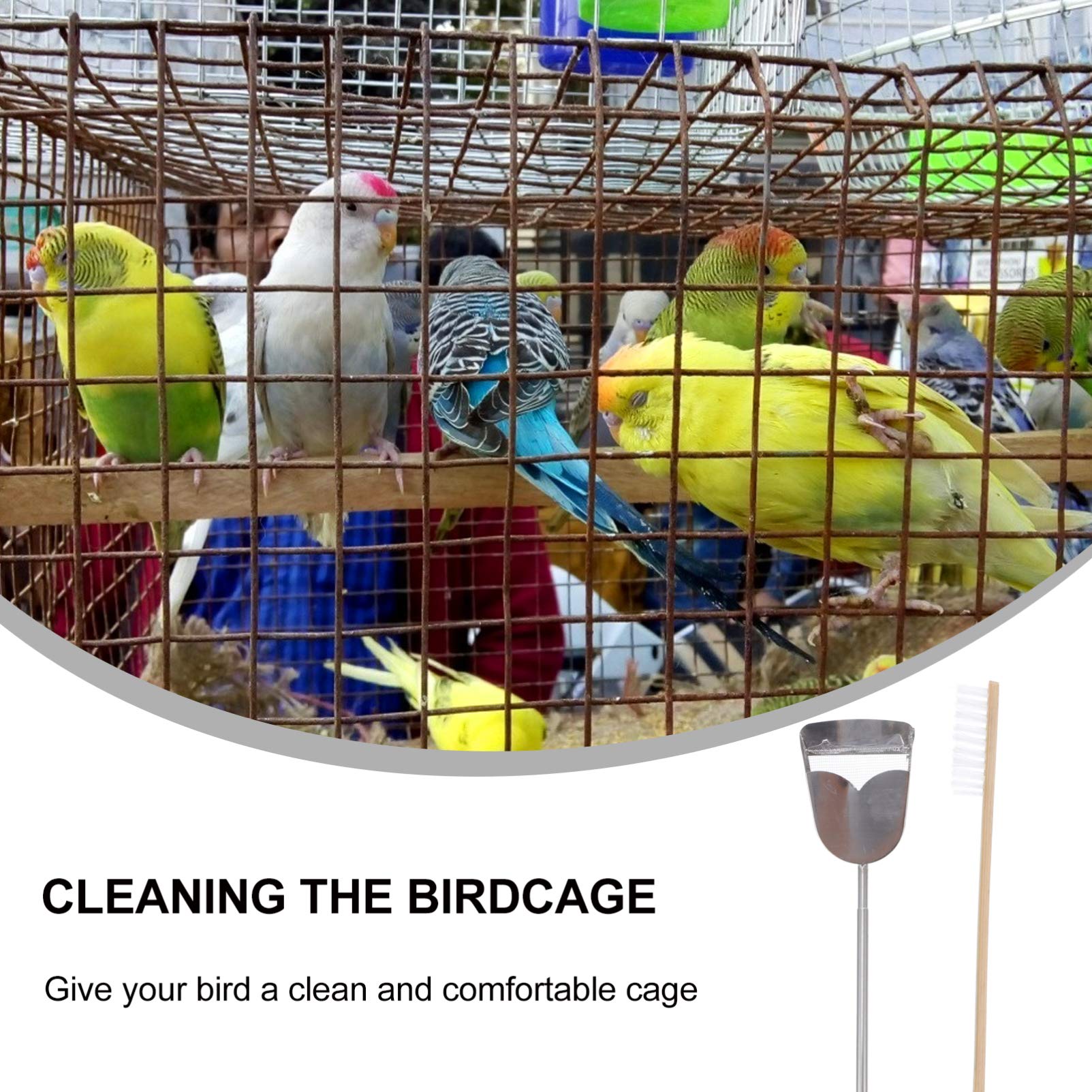 Image result for Parakeet Cage Cleaning Brush Shovel Kit Pet Supplies Bird Cage Cleaning ...