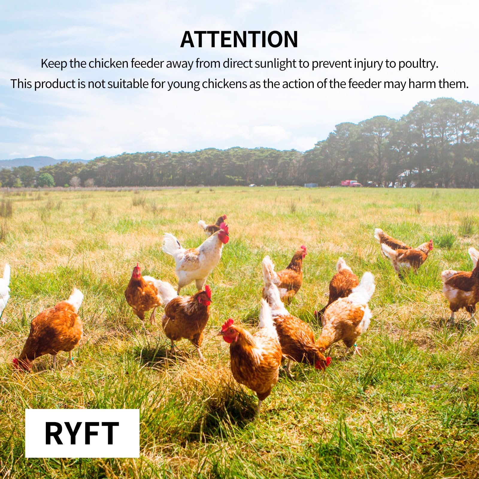 RYFT Comedero automático de pollo de gran capacidad de acero galvanizado con cubierta resistente a la intemperie, para pollos, faisanes, gallo, patos y aves de corral