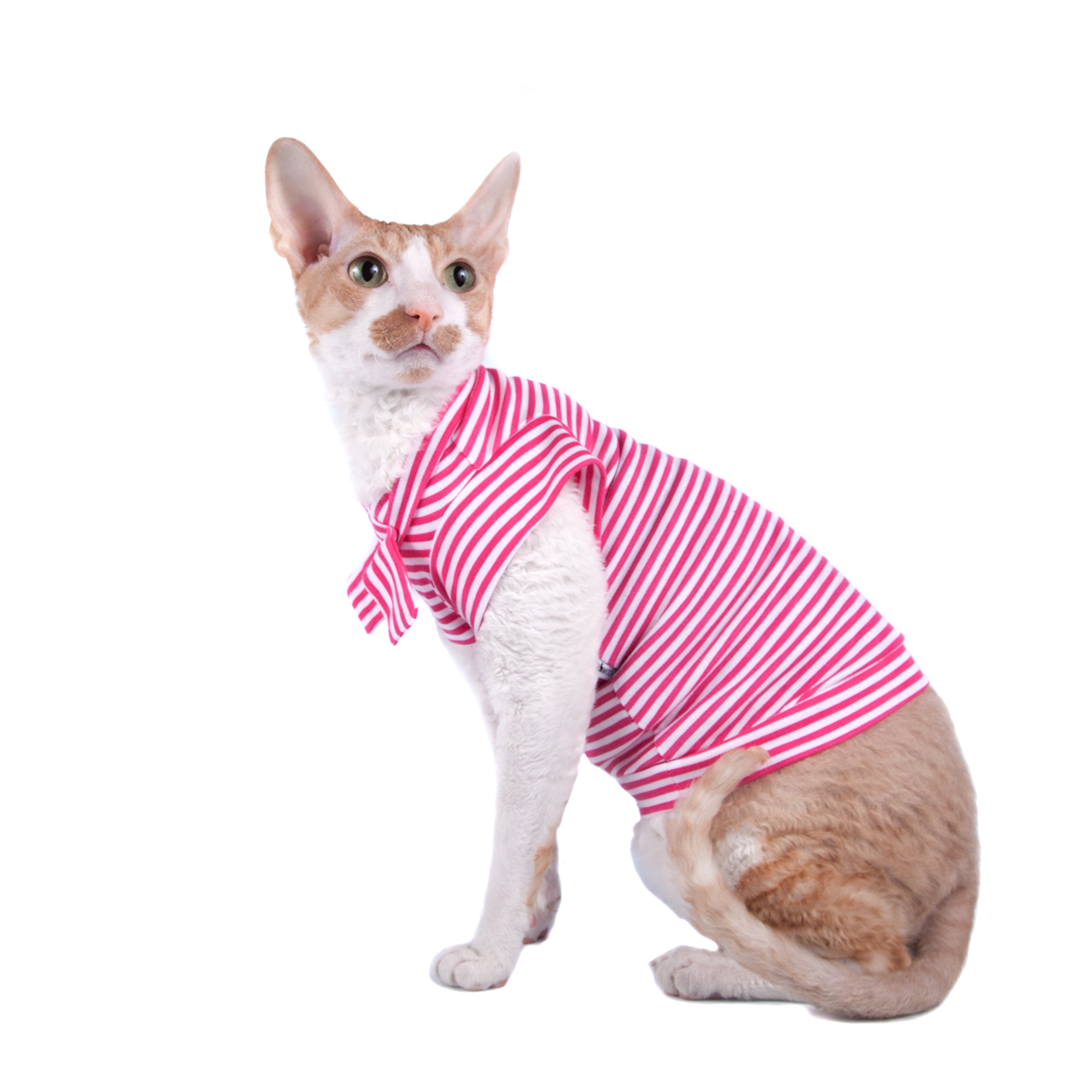 Vêtement pour chat col roulé fuchsia XS en maille extensible
