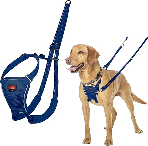 Miniatura 19 de Halti Arnés sin tirones: evita que tu perro tire de la correa. Ajustable, ligero y fácil de usar. Arnés reflectante de entrenamiento para perros