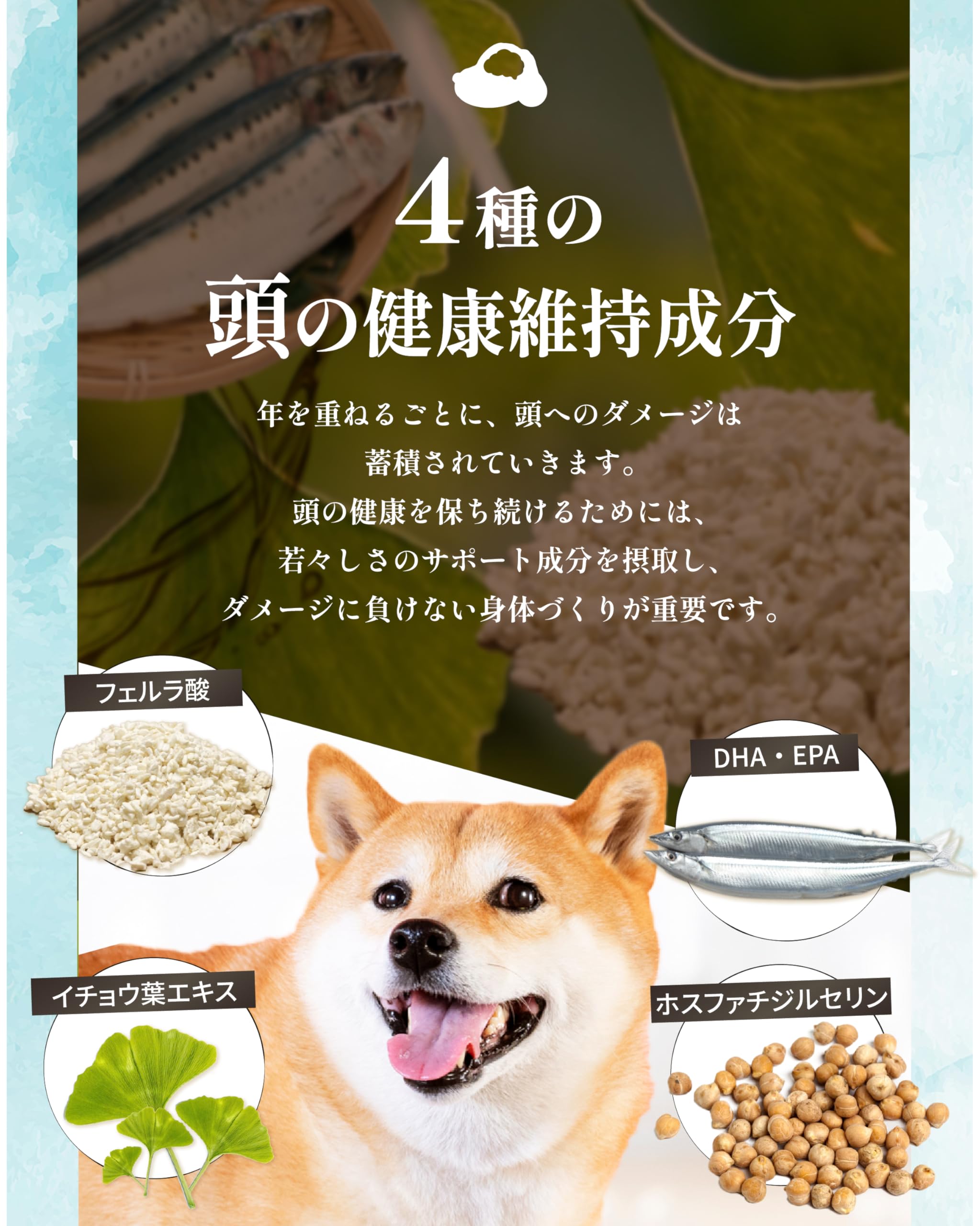 amure アミュレ 犬用サプリメント 60粒×3袋 アミュレ あみゅれ amure 犬用 サプリメント 3袋セット（シニア