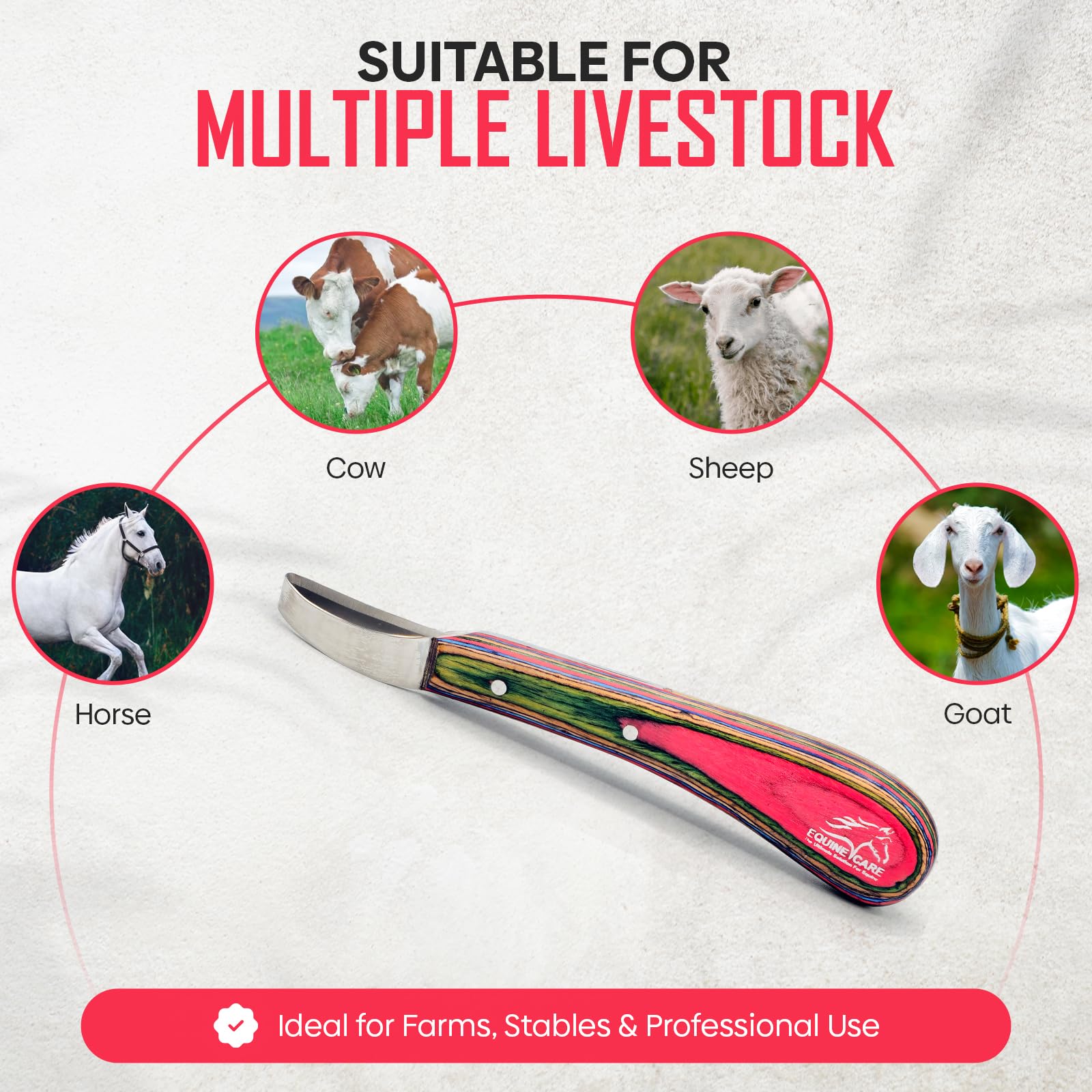 Equine Hoof Loop Knife - J2 Stainless Steel -7