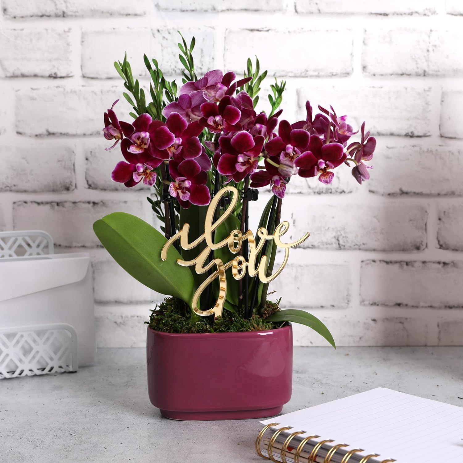 Green Circle Growers 4" Mini Dark Purple Orchid in Purple Ceramic Planter – Love You Edition Live Orchid Gift Plant