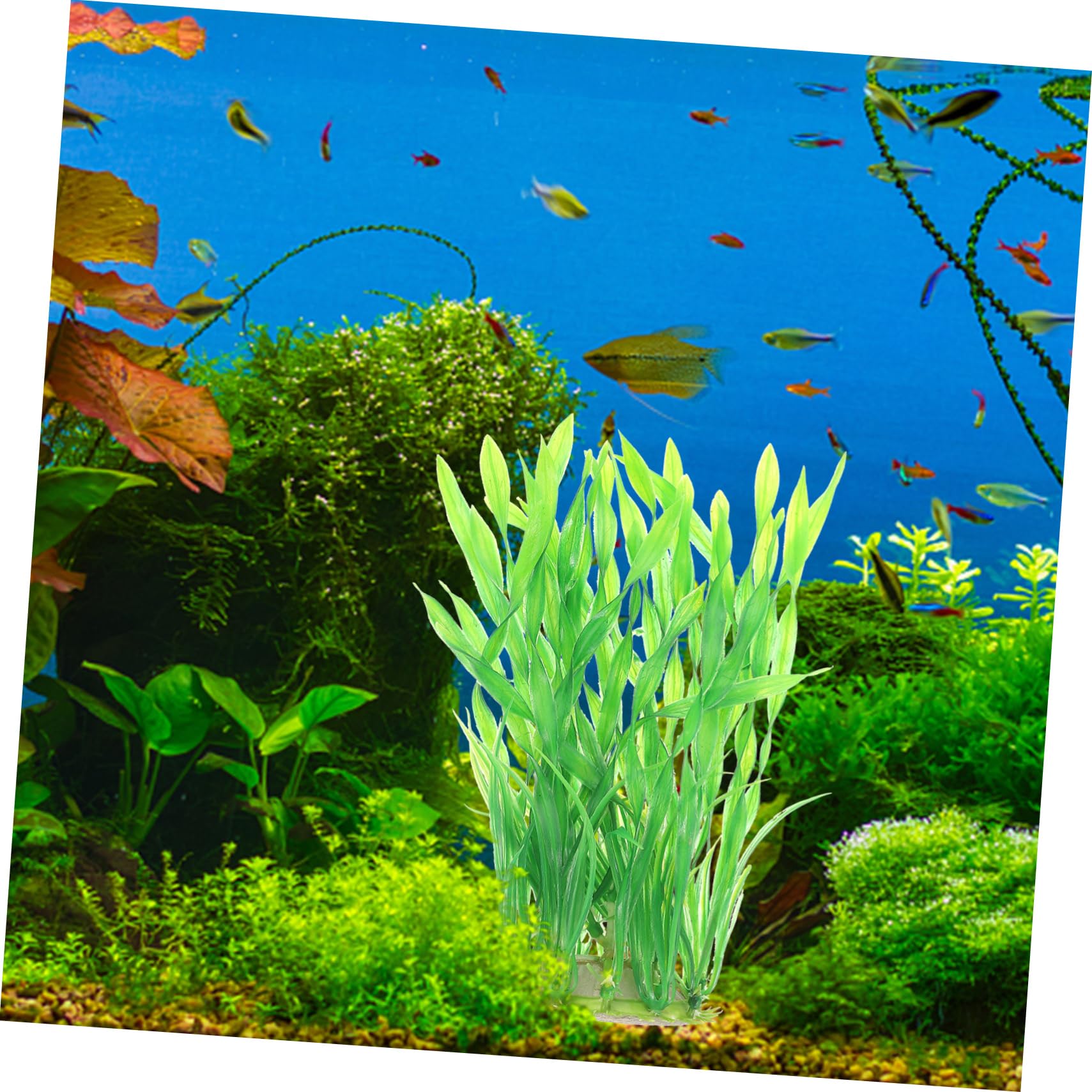 BESPORTBLE 10stücke Aquarium Kunstpflanzen Dekoration Wasserpflanzen Für Betta Fisch Tank Unterwasser Aquarien Zubehör Langlebig Und Farbecht