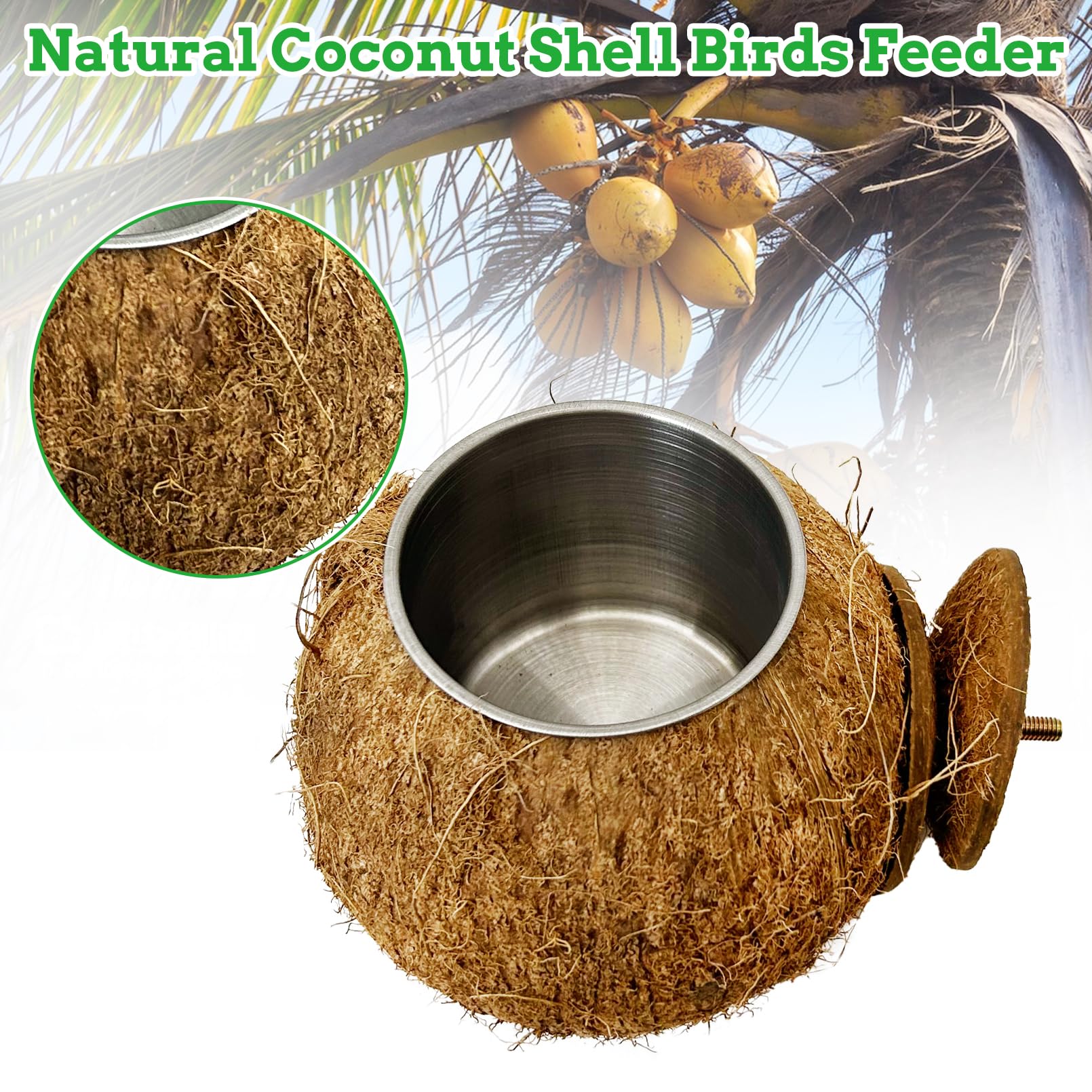 Coconut Bird Bowls for Cage 2-in-1 Coconut Shell Birds Feeder Set of 2 Hanging Parrot Cage Feeders Natural Parakeet Food and Water Dishes for Lovebirds Finches Budgies Cockatiels - image 5