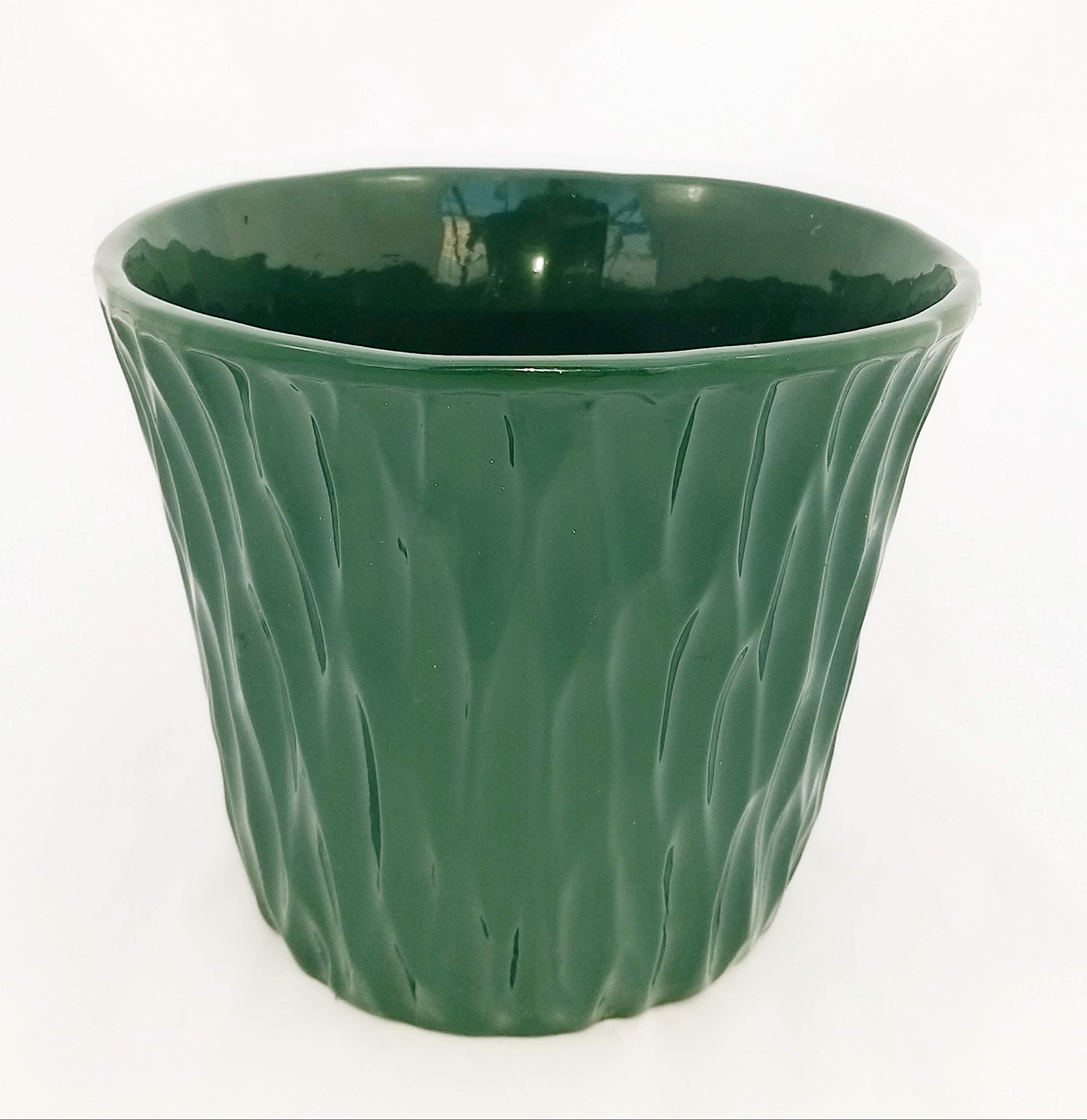 POWERS TO FLOWERS - EUPHORBIA VULCANA ERITREA, SPINA DI CRISTO, CACTUS DEL FREDDO, IN VASO CERAMICA VERDE, vaso 20cm altezza 70cm, pianta vera