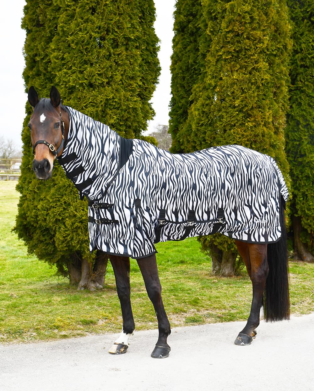 Rhinegold Africa Combo Mesh Fly Rug-6/9-Zebra โ image 1