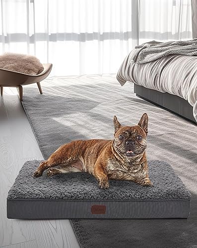 OhGeni Camas ortopédicas para perros medianos, cama para perros con soporte de espuma de huevo de felpa y parte inferior antideslizante, impermeable