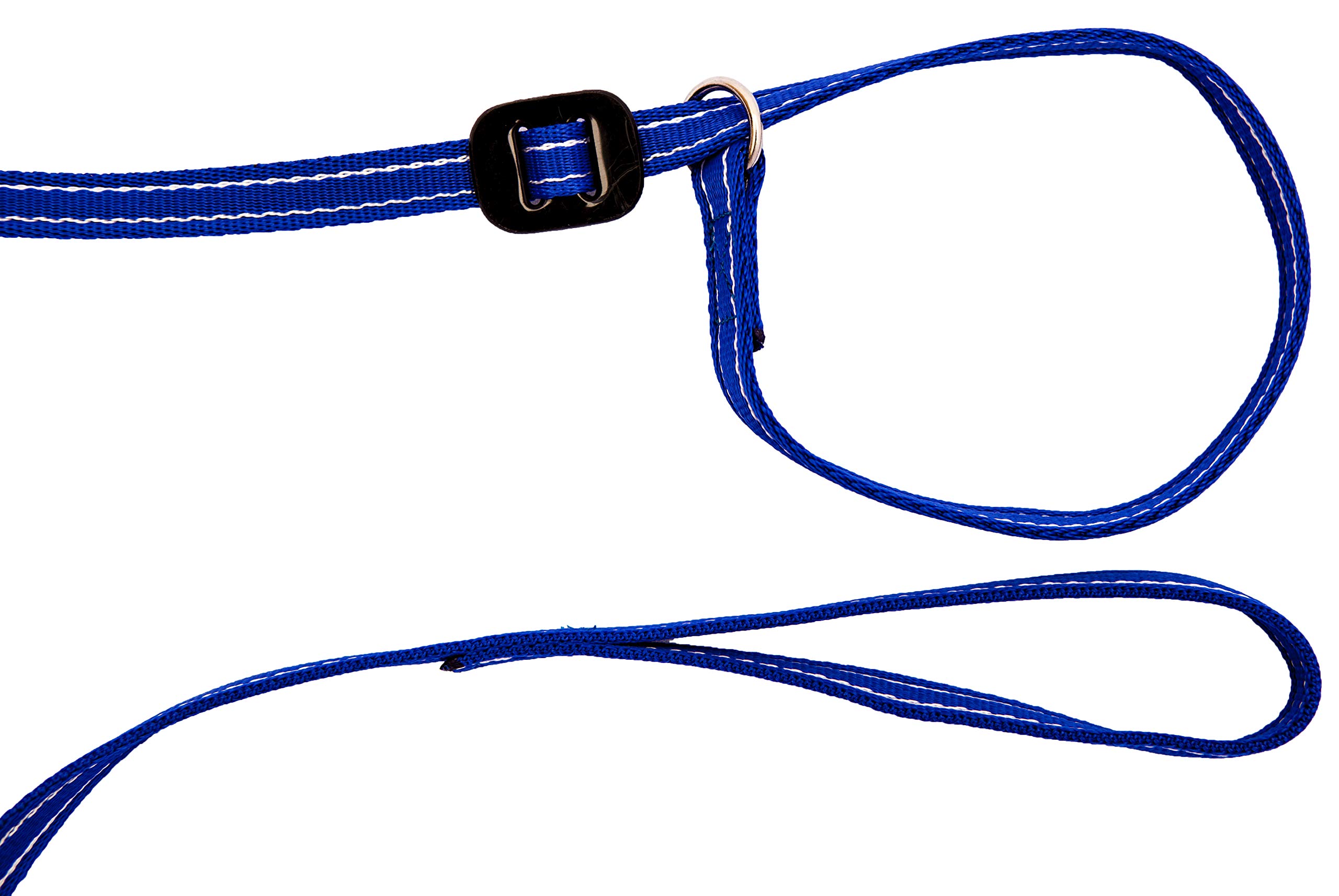 Gencon Slip Lead for Dogs | Training Lead | One Size | UK Made | Blue/White