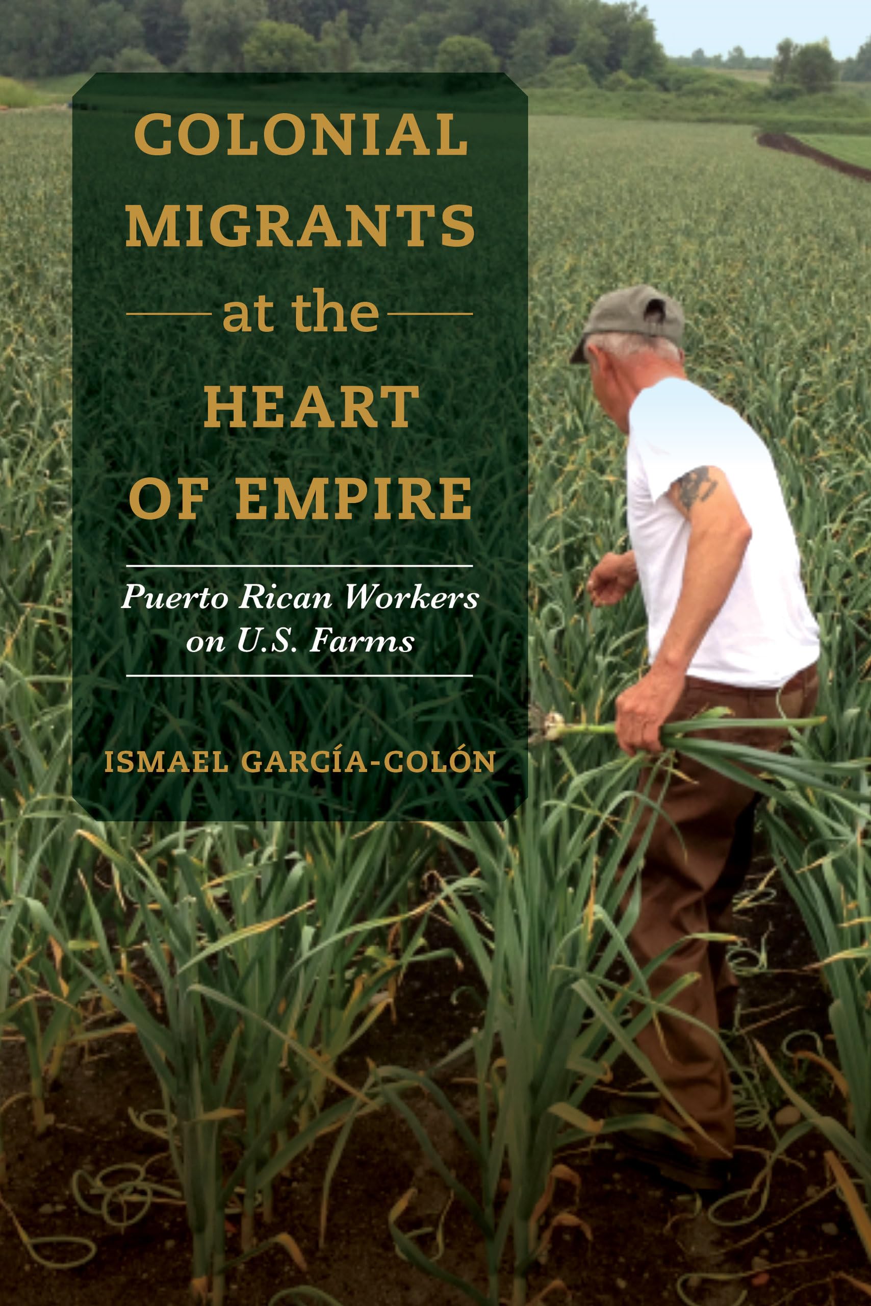 Colonial Migrants at the Heart of Empire: Puerto Rican Workers on U.S. Farms (American Crossroads) (Volume 57)