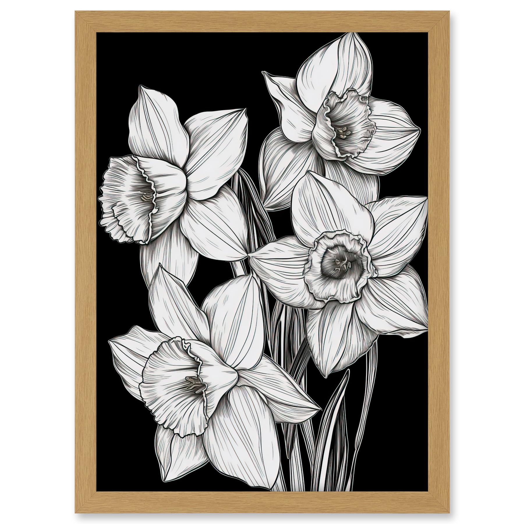 Artery8 Daffodil Wildflower Plant Blooms Black and White Artwork Framed A3 Wall Art Print