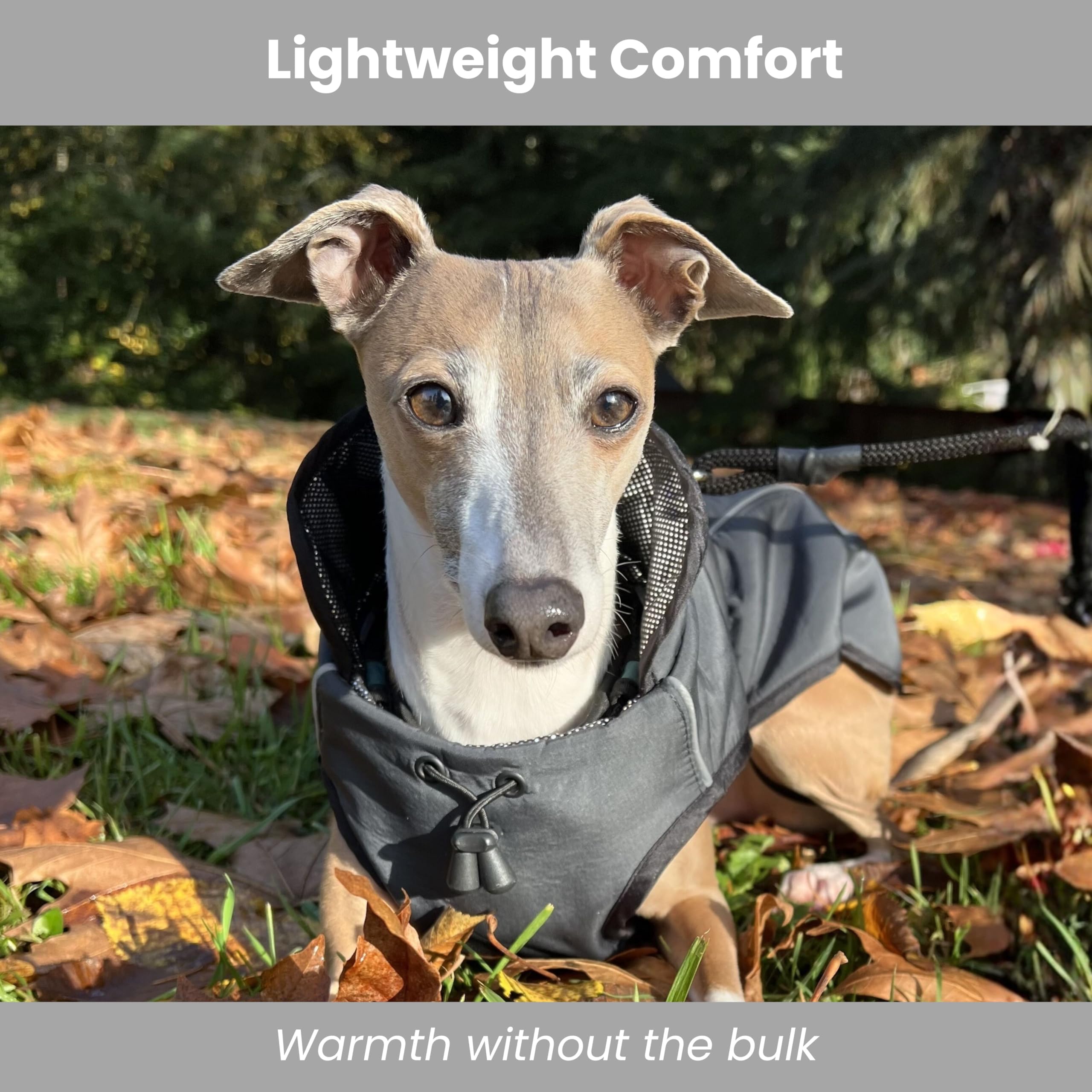 Cappotto invernale per cane-Impermeabile-Caldo-Isolato-Gilet (M, grigio scuro)