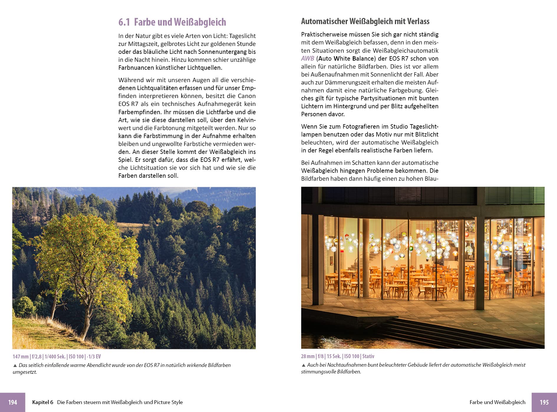 Canon EOS R7: Das umfangreiche Praxisbuch zu Ihrer Kamera!
