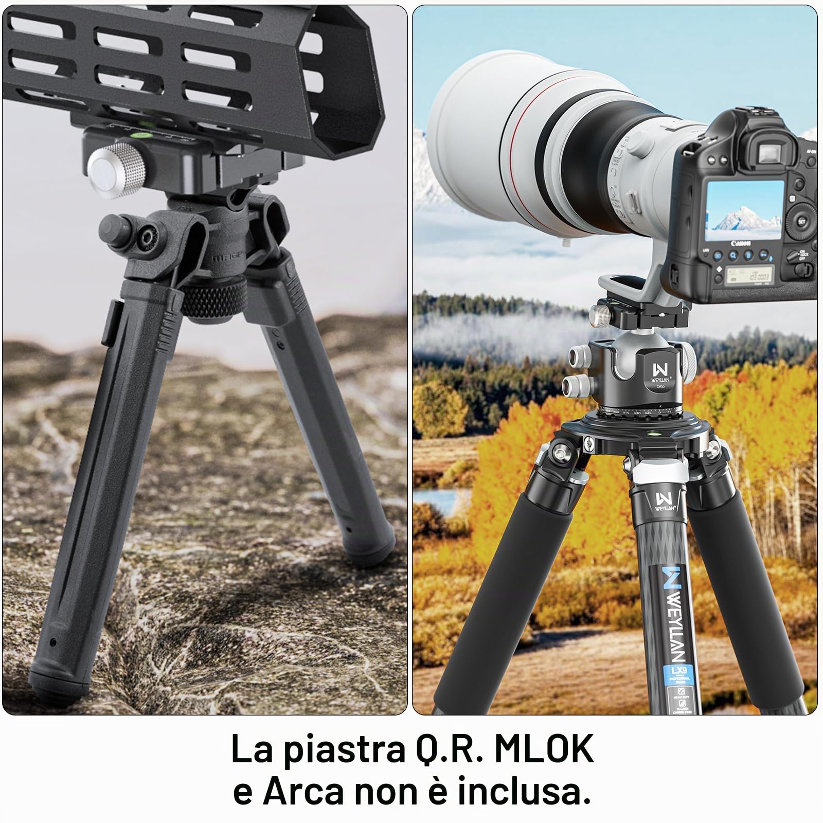 WEYLLAN AL60 Quick Release Plate Clamp, Morsetto per Piastra a Sgancio Rapido, Quick Release Clamp per Arca Swiss, Bloccaggio a Manopola e Bloccaggio a Leva
