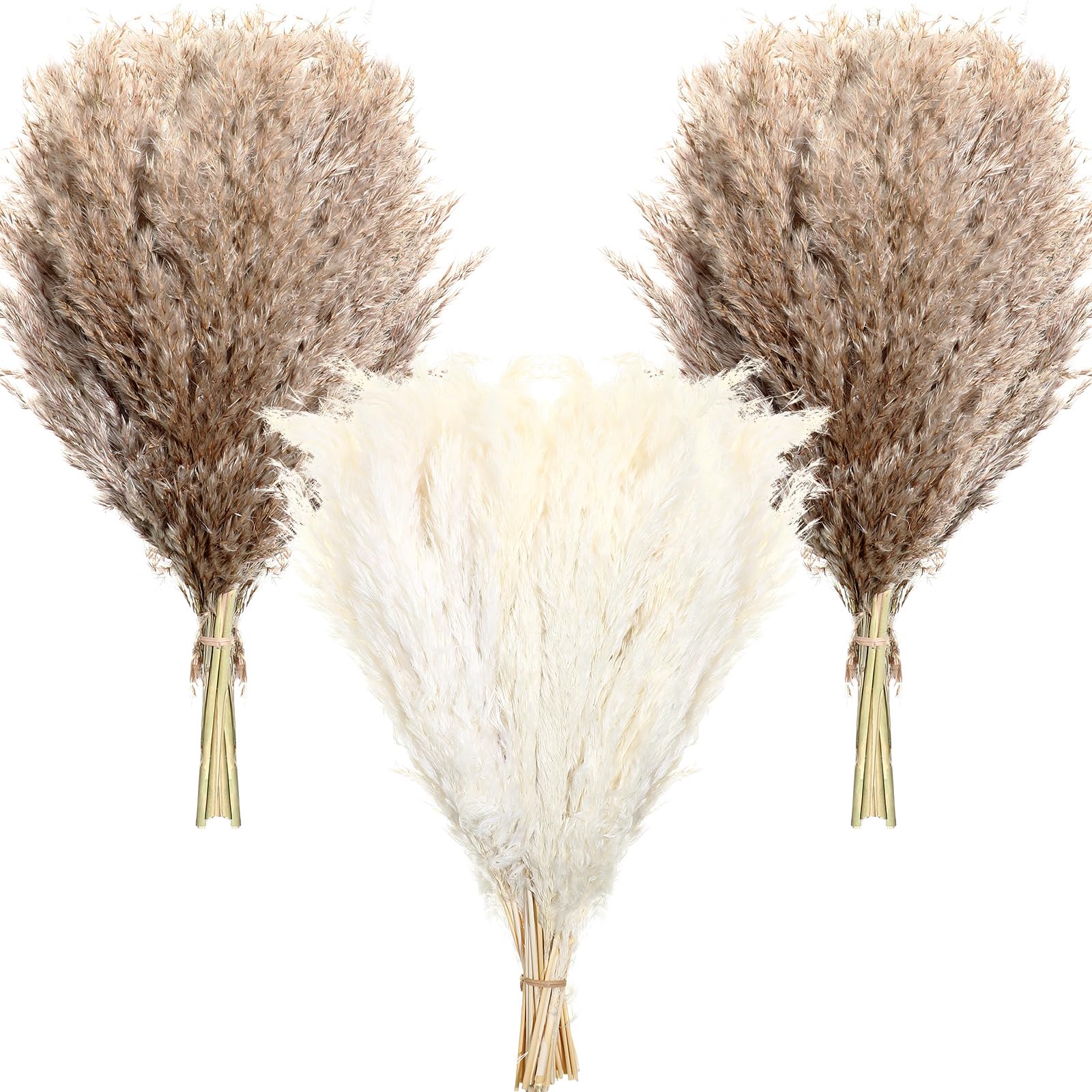 Janinka 100 Pcs Dried Pampas Grass Decor 17 Inch Bulk Natural Small Pompous Wild Fluffy Pompas Floral Boho Decor Flowers for Wedding Party Farmhouse