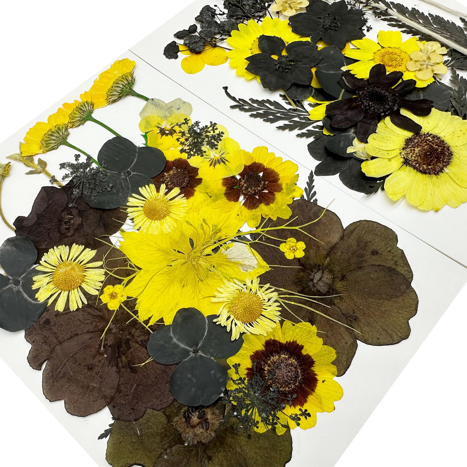 Woohome 4 Pack Dried Flowers for Resin Molds 85 Pcs Real Natural Dried Pressed Flowers - Image 2