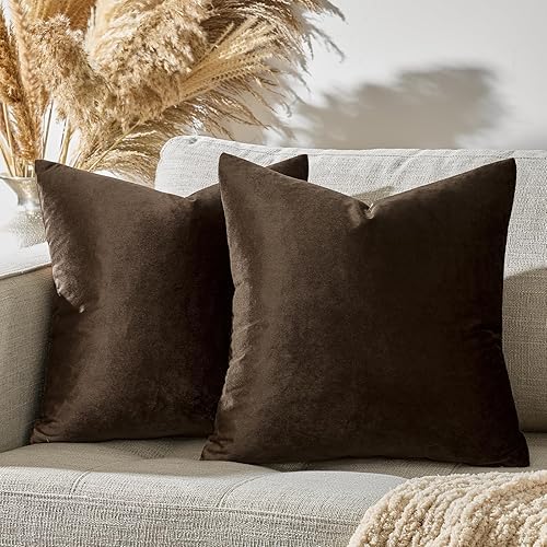 Vista 246 de GIGIZAZA - Juego de 2 fundas de almohada decorativas de 18 x 18 pulgadas, fundas de almohada cuadradas de terciopelo verde azulado pavo real