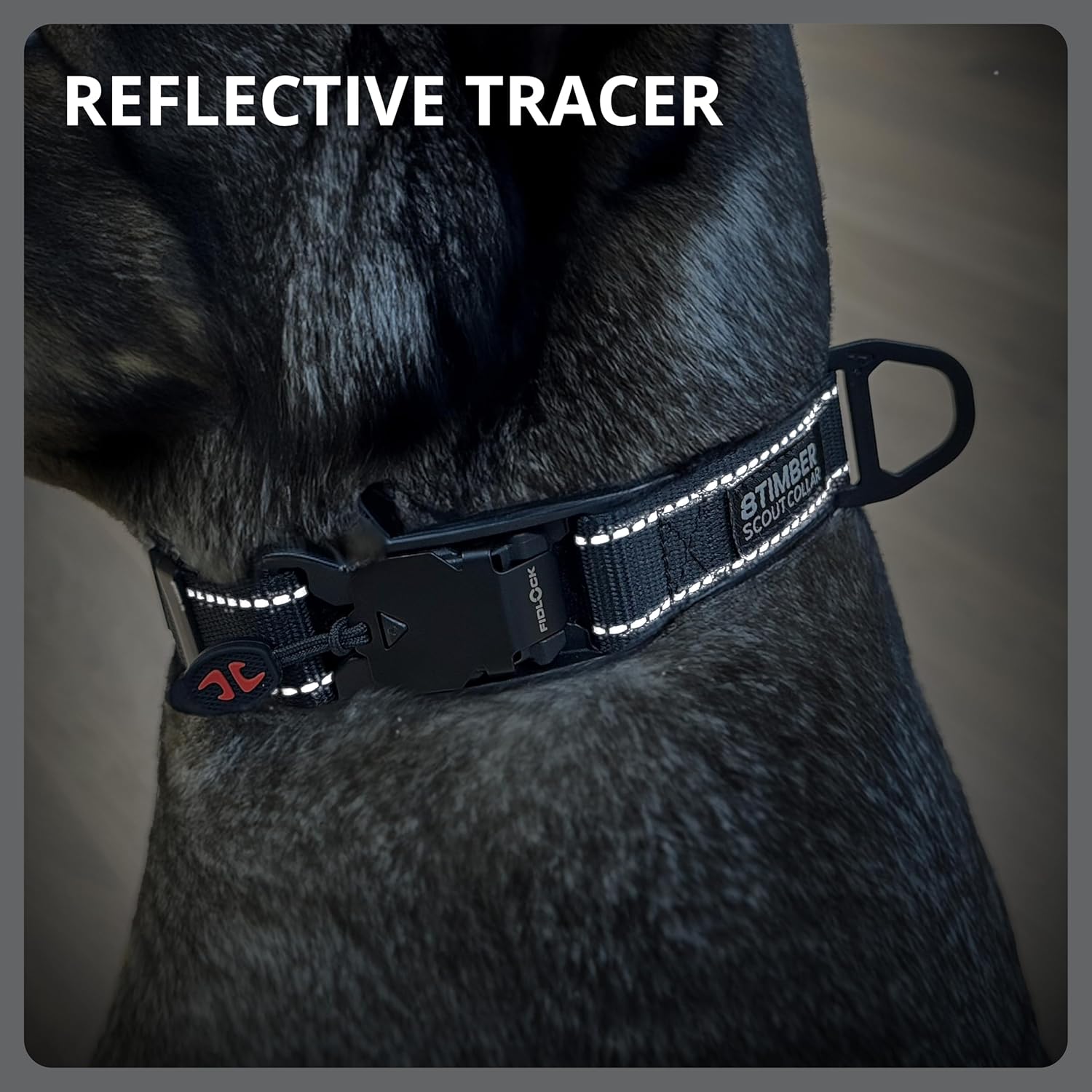 8TIMBER Scout Dog Collar - with Innovative FIDLOCK V-Buckle 25 — Medium — Secure and Stylish Magnetic Closure Collar for Dogs Premium Quality Adjustable Pet Collar for Comfort and Durability…
