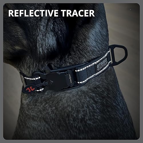 Miniatura 5 de 8TIMBER Collar de perro Scout  con innovadora hebilla en V FIDLOCK 25  Mediano  Collar de cierre magnético seguro y elegante para perros Collar