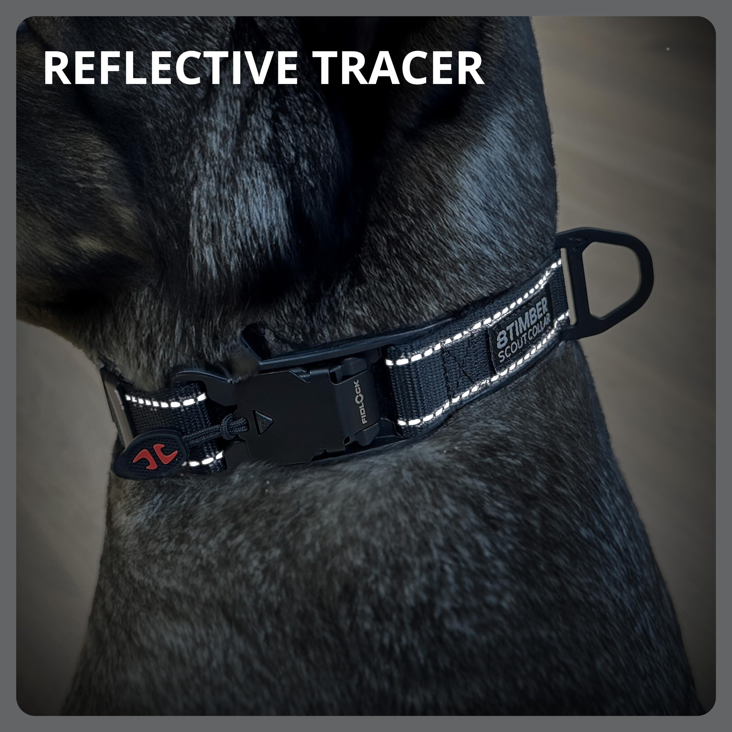 8TIMBER Scout Hundehalsband Größe M – Mit FIDLOCK V-Schnalle 25 Magnetverschluss, Reflektierend, Verstellbar