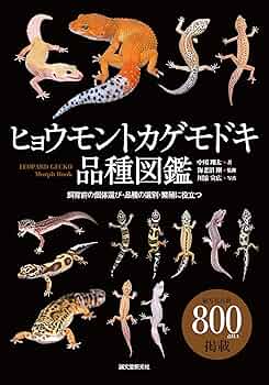 ヘビ　レオパ　品種図鑑セット ヘビ レオパ 品種図鑑セット ヘビ レオパ 品種図鑑セット ヘビ