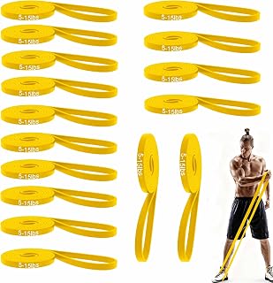 16-Pcs Resistance Bands Set - Premium Elastic Workout Bands for Home Gym, Strength Training, Yoga & Physical Therapy