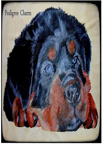 Miniatura 6 de 3dRose Rottweiler - Paño de lavado de 11 x 12 pulgadas para cara y cuerpo, dije de pedigrí, humor, perro, rottweiler, rottie, rottweilers,