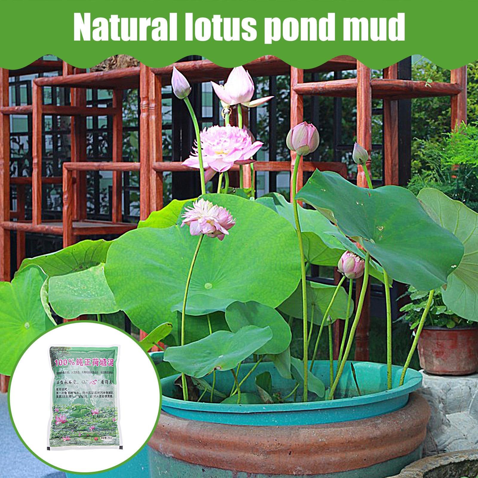Teicherde fr Wasserpflanzen | 200 G Teicherde fr Lotusblume und Seerosen  | Lilies Dnger | Aquatic Soil | Aquatic Compost | Natrliche Wasserkompost  for Teichpflanzen Hydrokultur und Aquaponik : Amazon.de: Garten