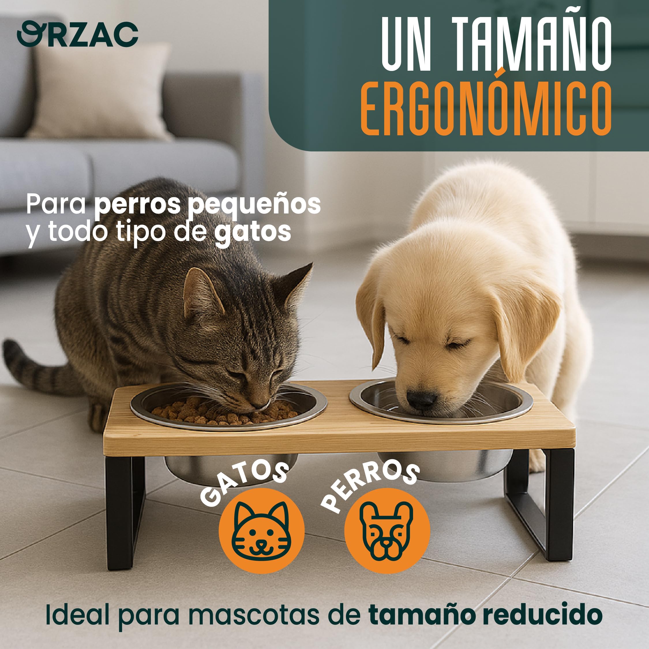Comedero Elevado para Gatos con 2 Cuencos INOX 400 ml – Bambú Natural Antivuelco – Plato Gato Ergonómico Que Mejora Postura y Digestión + Collar de Regalo